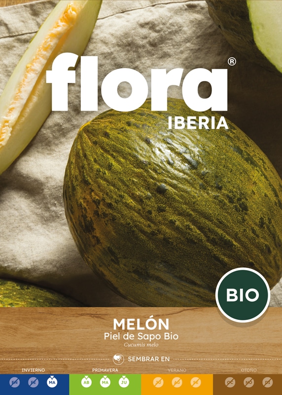 IC01686BOLS - Melón Piel de Sapo