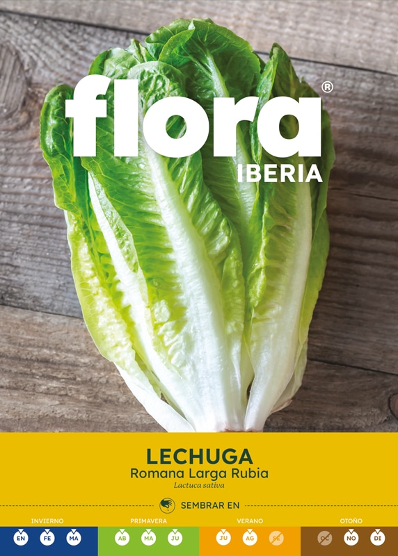 IC01090BOLS - Lechuga Romana Larga Rubia