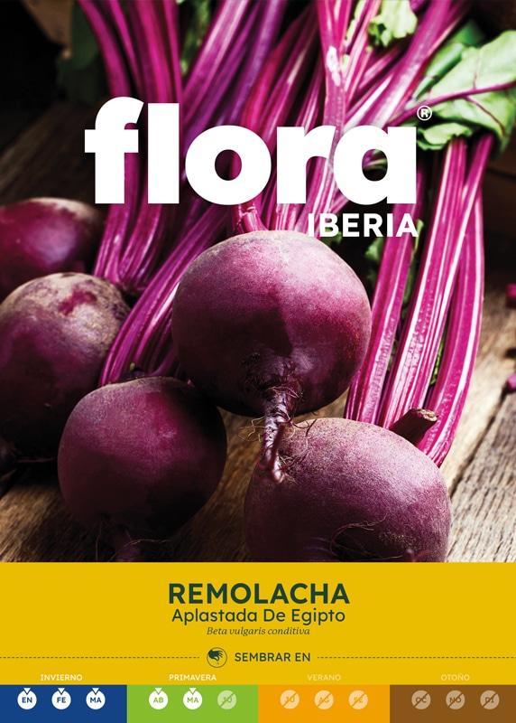 IC01133BOLS - Remolacha Aplastada De Egipto