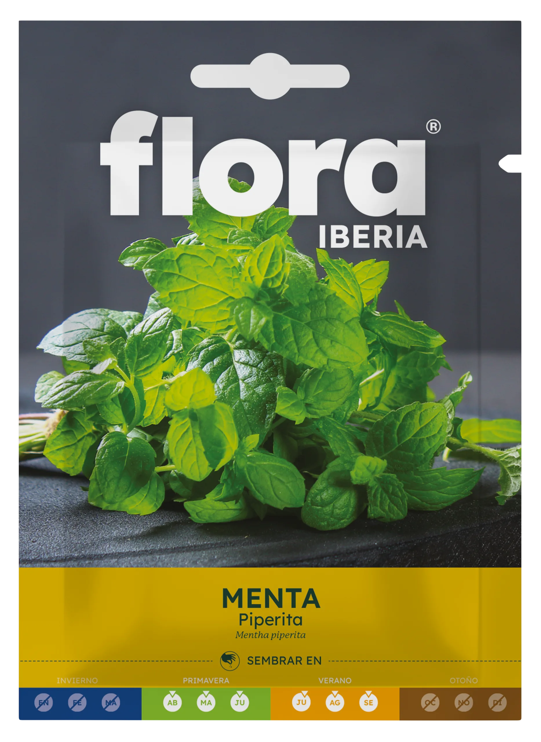 IA65582BOLS Menta Piperita