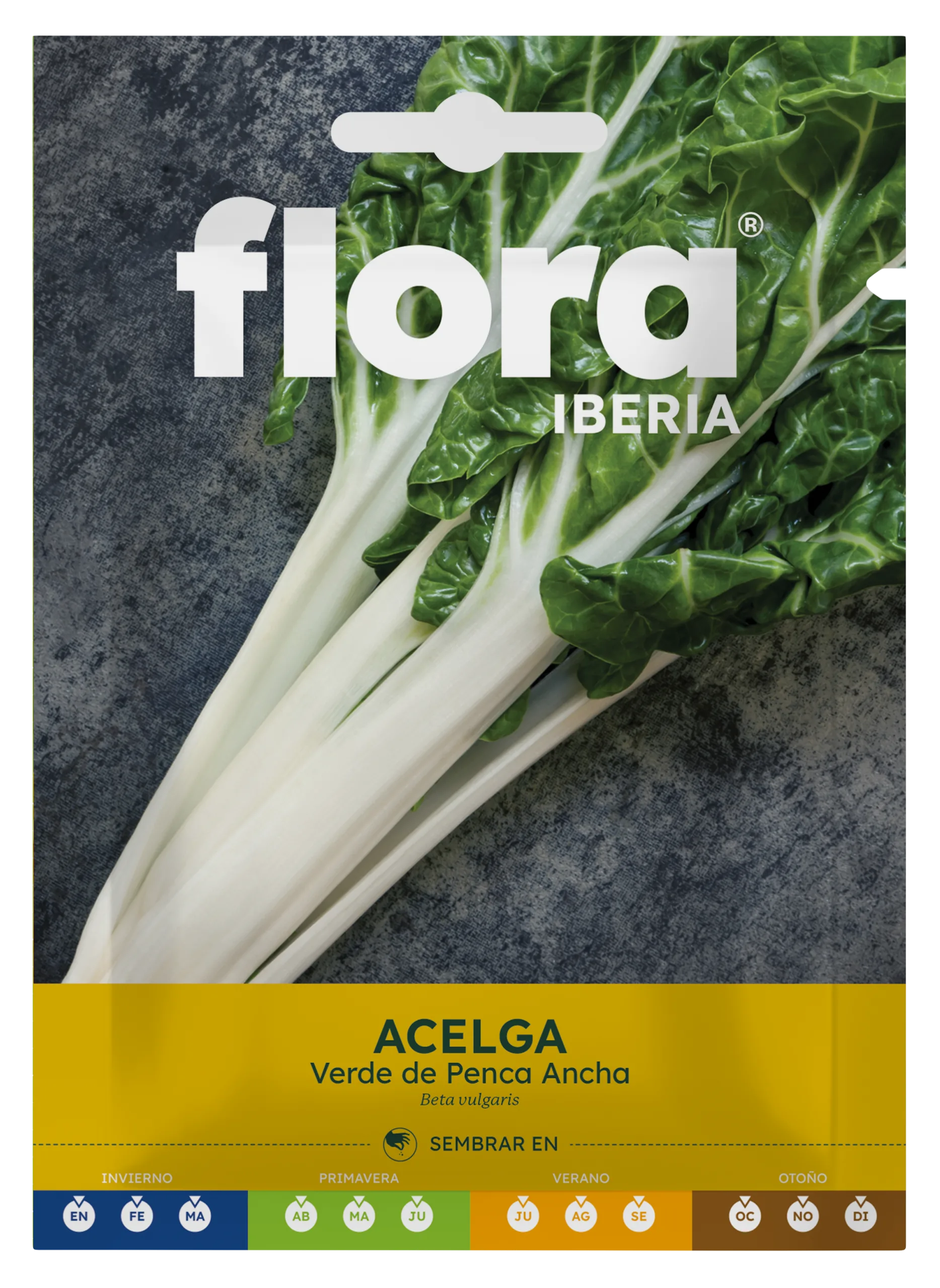 IC01031BOLS - Acelga Verde de Penca Ancha
