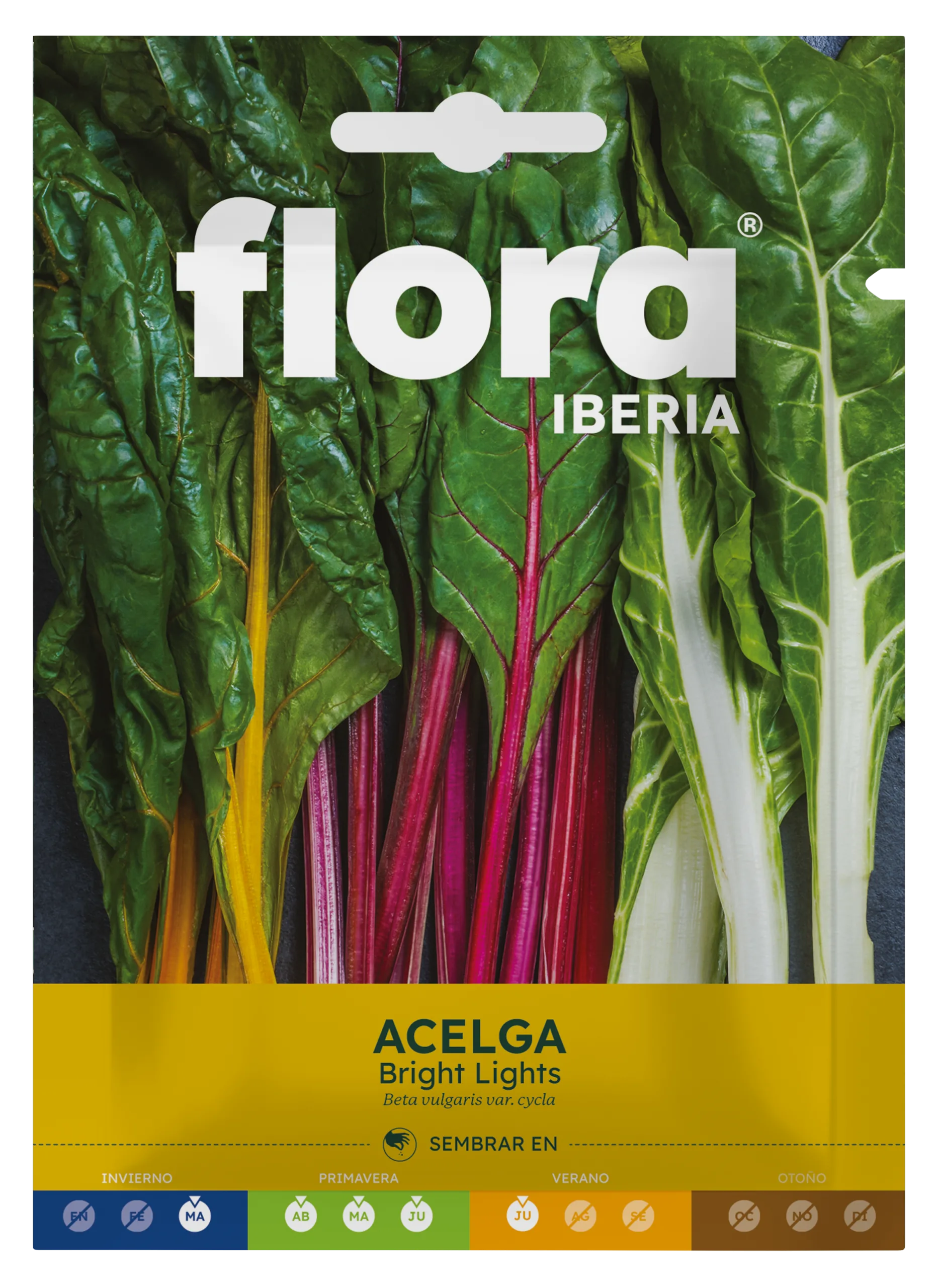 IC01032BOLS - Acelga Bright Lights