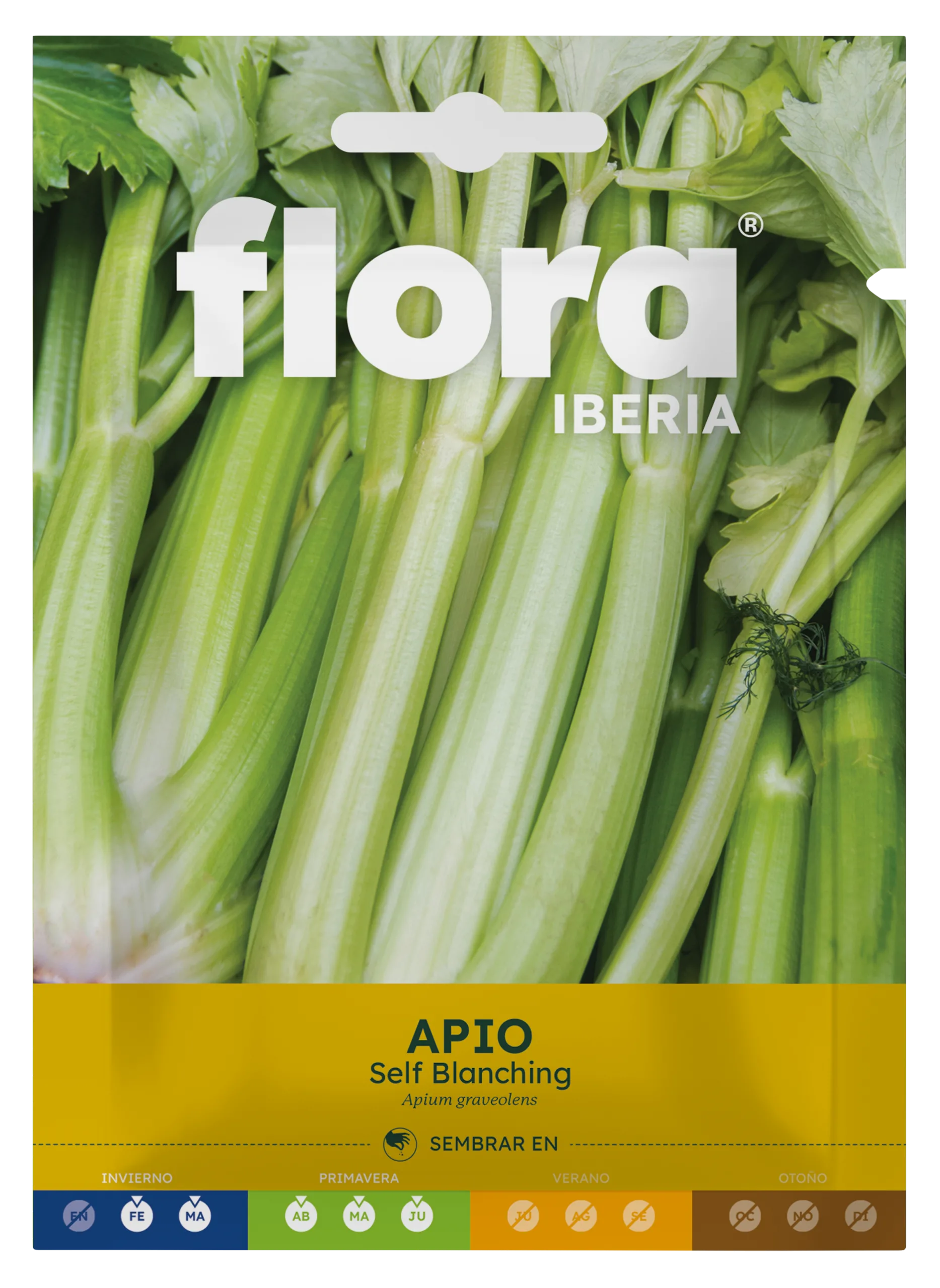 IC01063BOLS - Apio Self Blanching