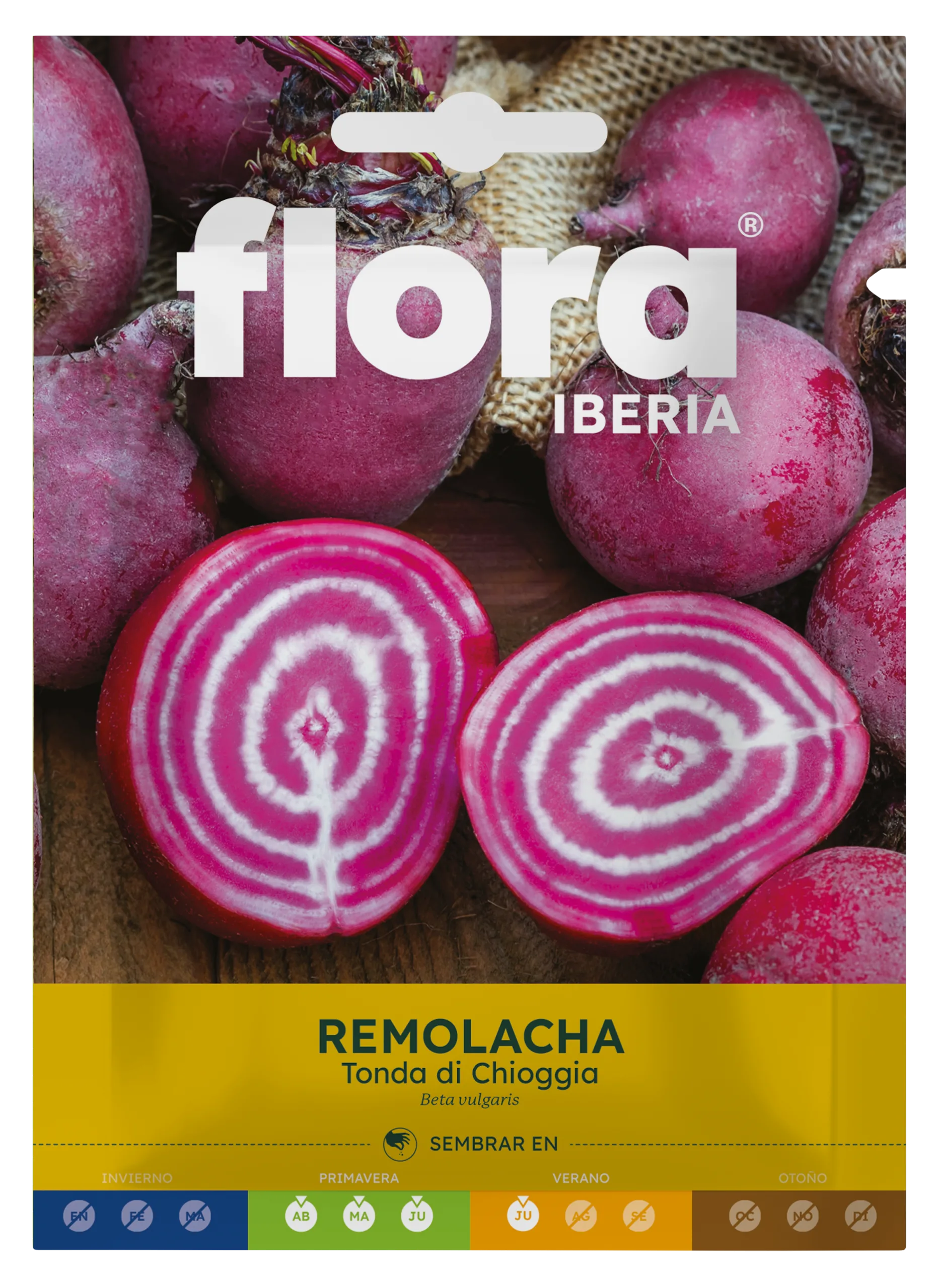 IC01135BOLS - Remolacha Tonda di Chioggia