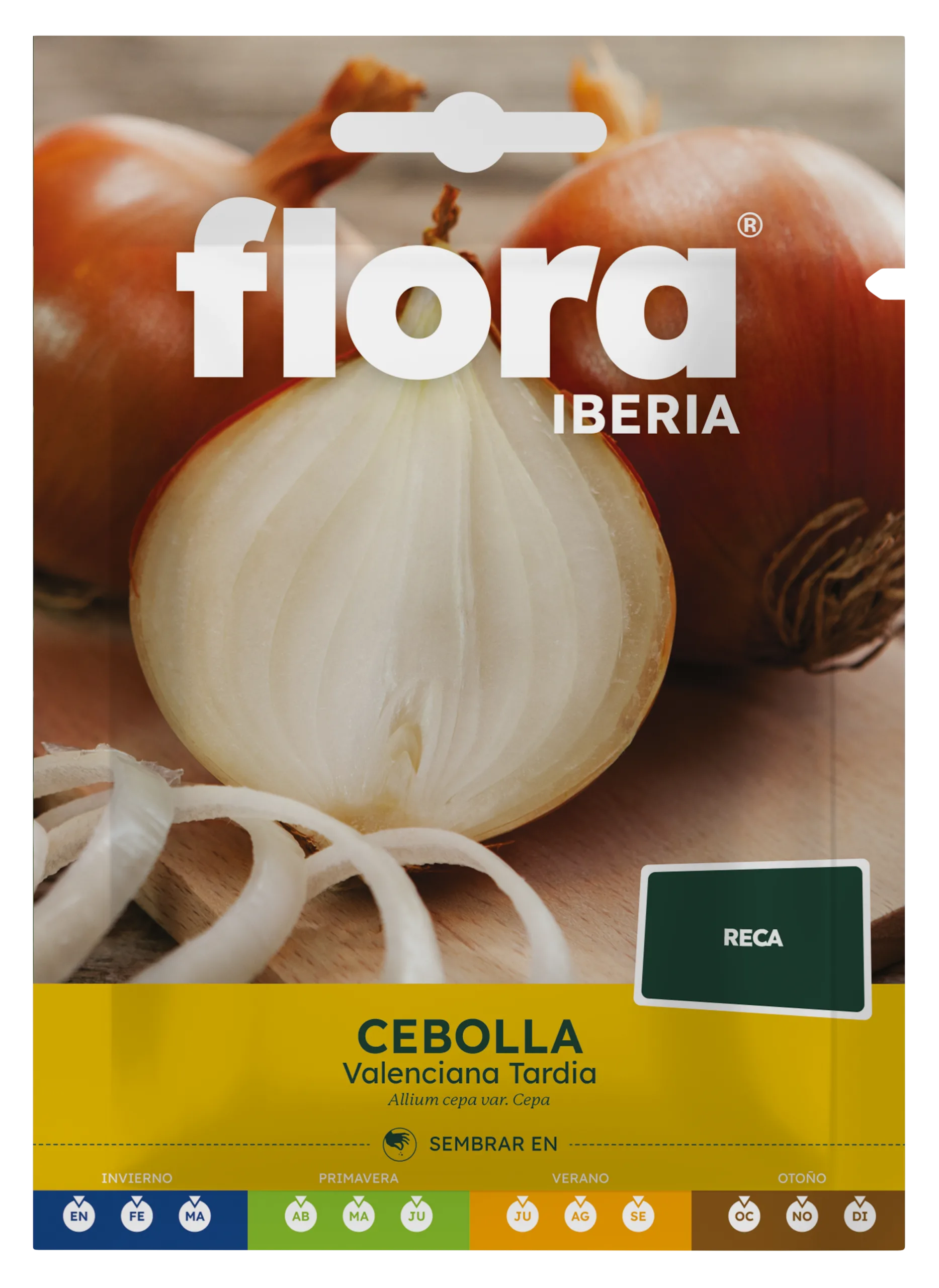 IC01184BOLS - Cebolla Valenciana Tardía