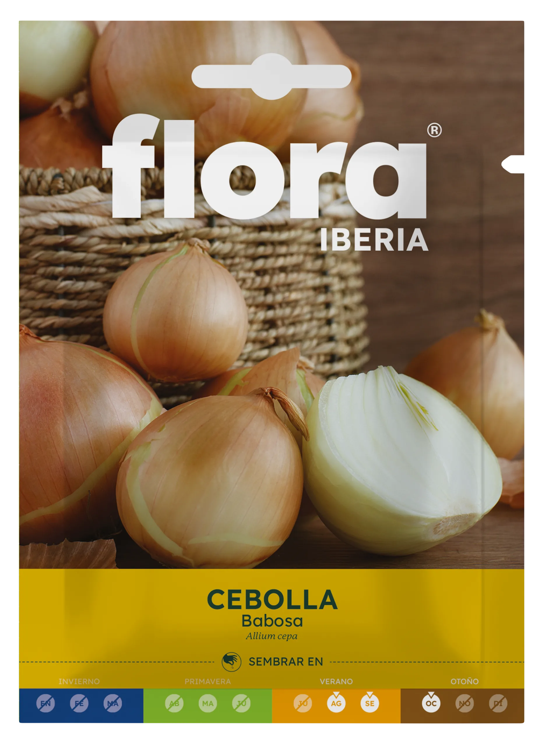 IC01188BOLS - Cebolla Babosa