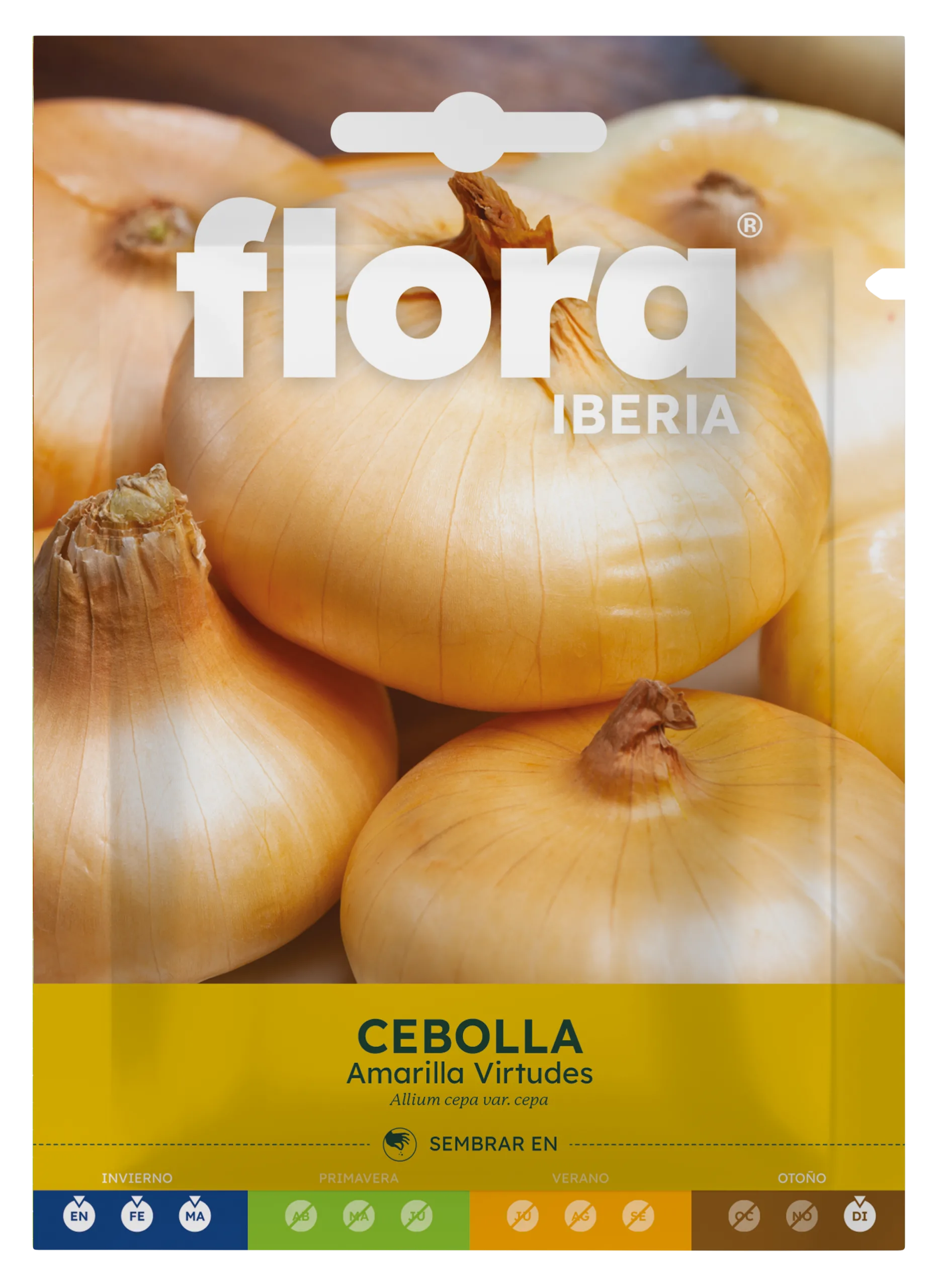 IC01192BOLS - Cebolla Amarilla Virtudes
