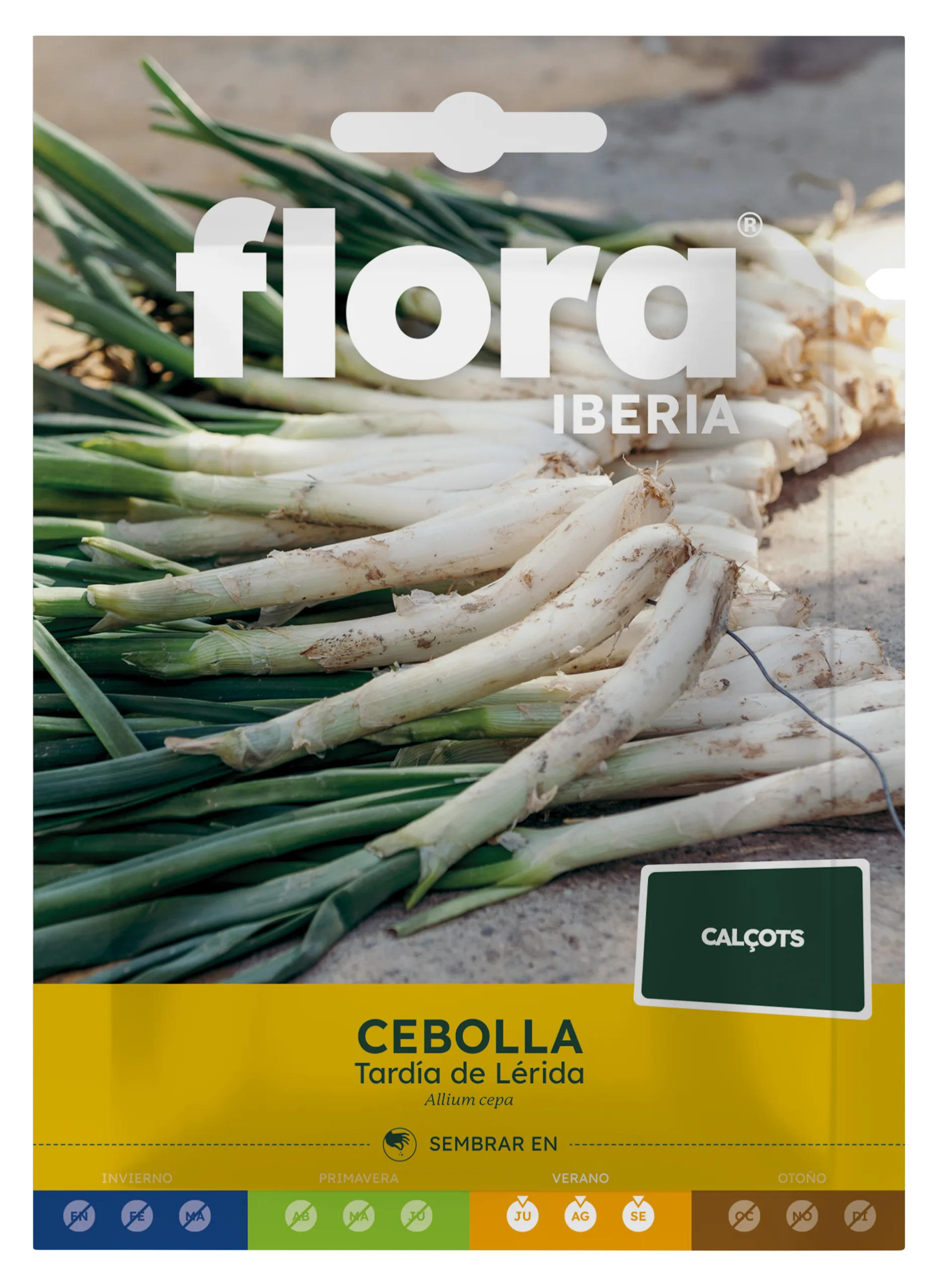 IC01203BOLS - Cebolla Tardía de Lérida