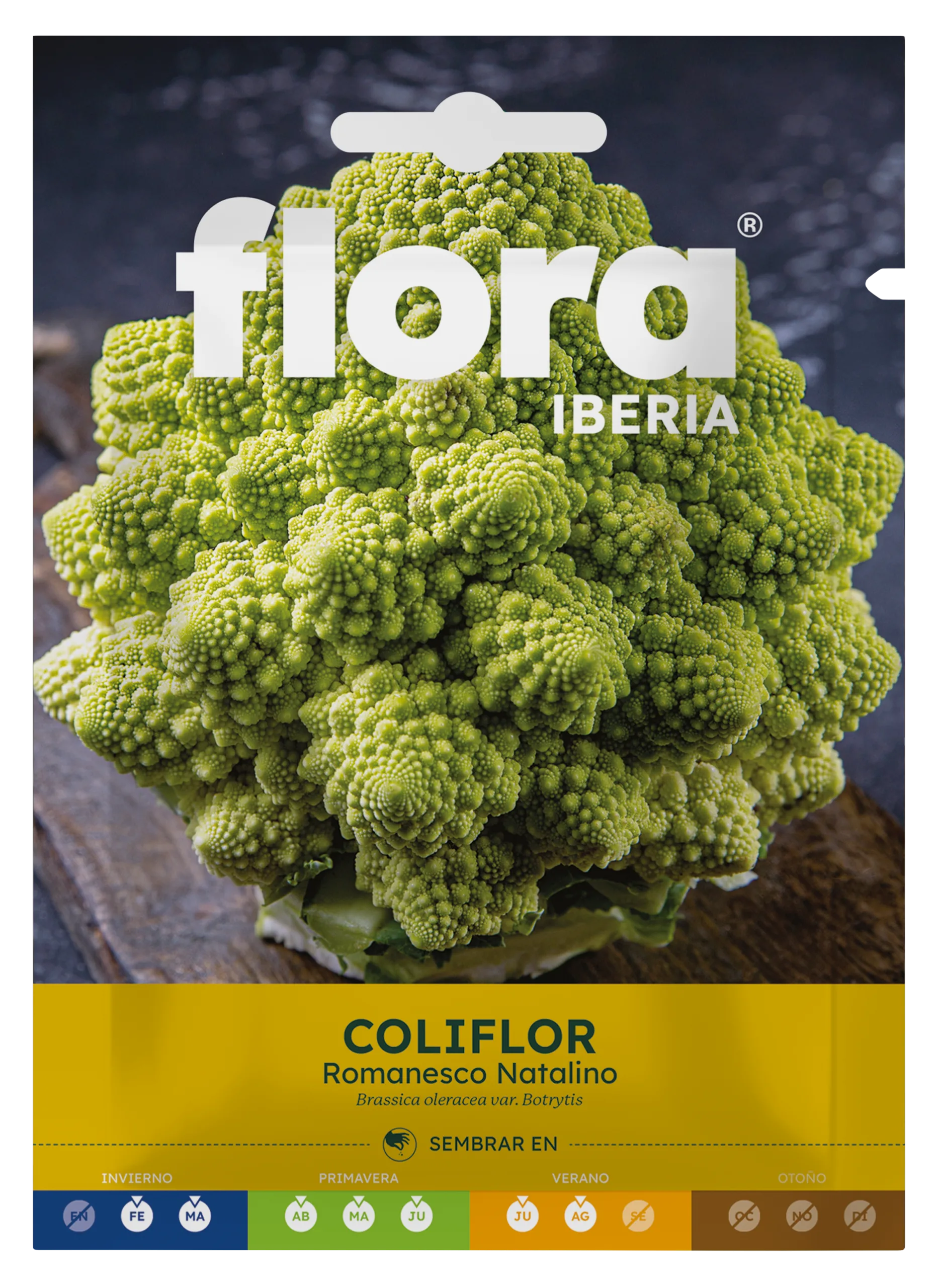 IC01303BOLS - Coliflor Romanesco Natalino
