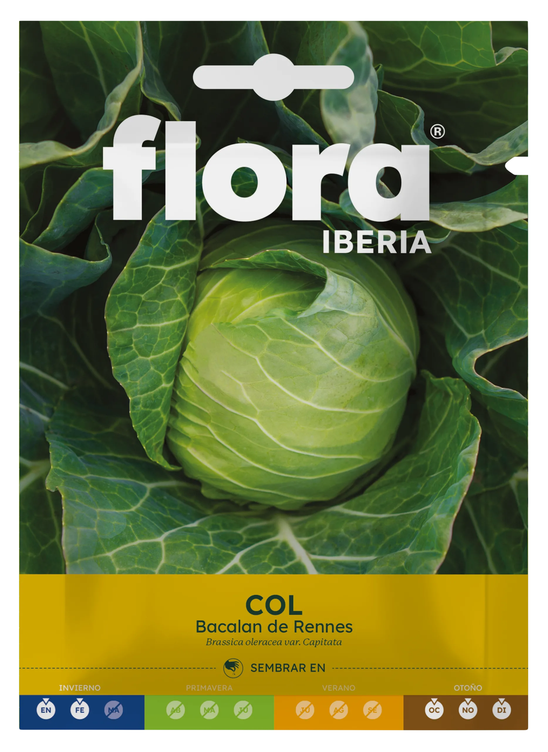 IC01341BOLS - Col Bacalan de Rennes