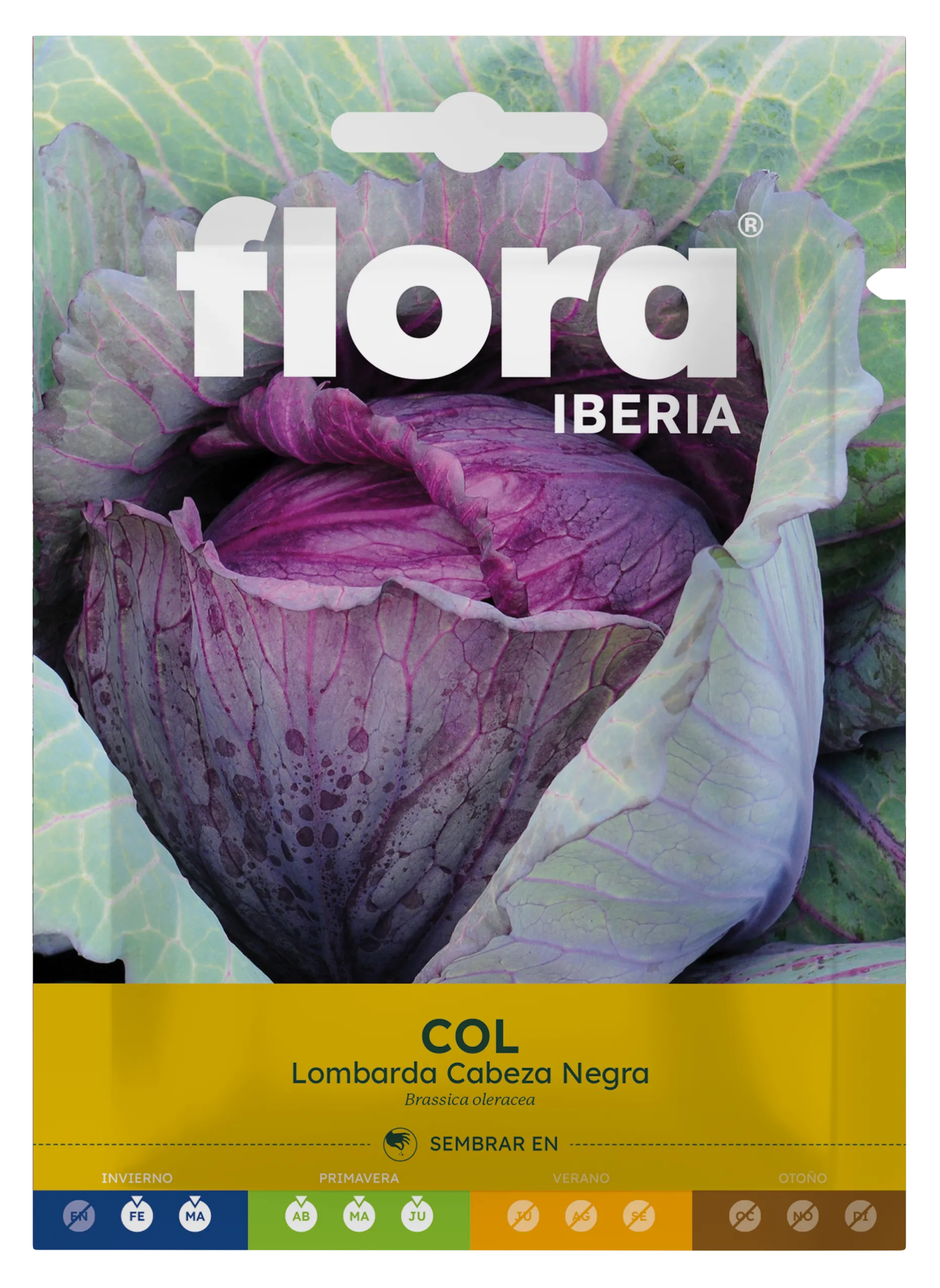 IC01411BOLS - Col Lombarda Cabeza Negra