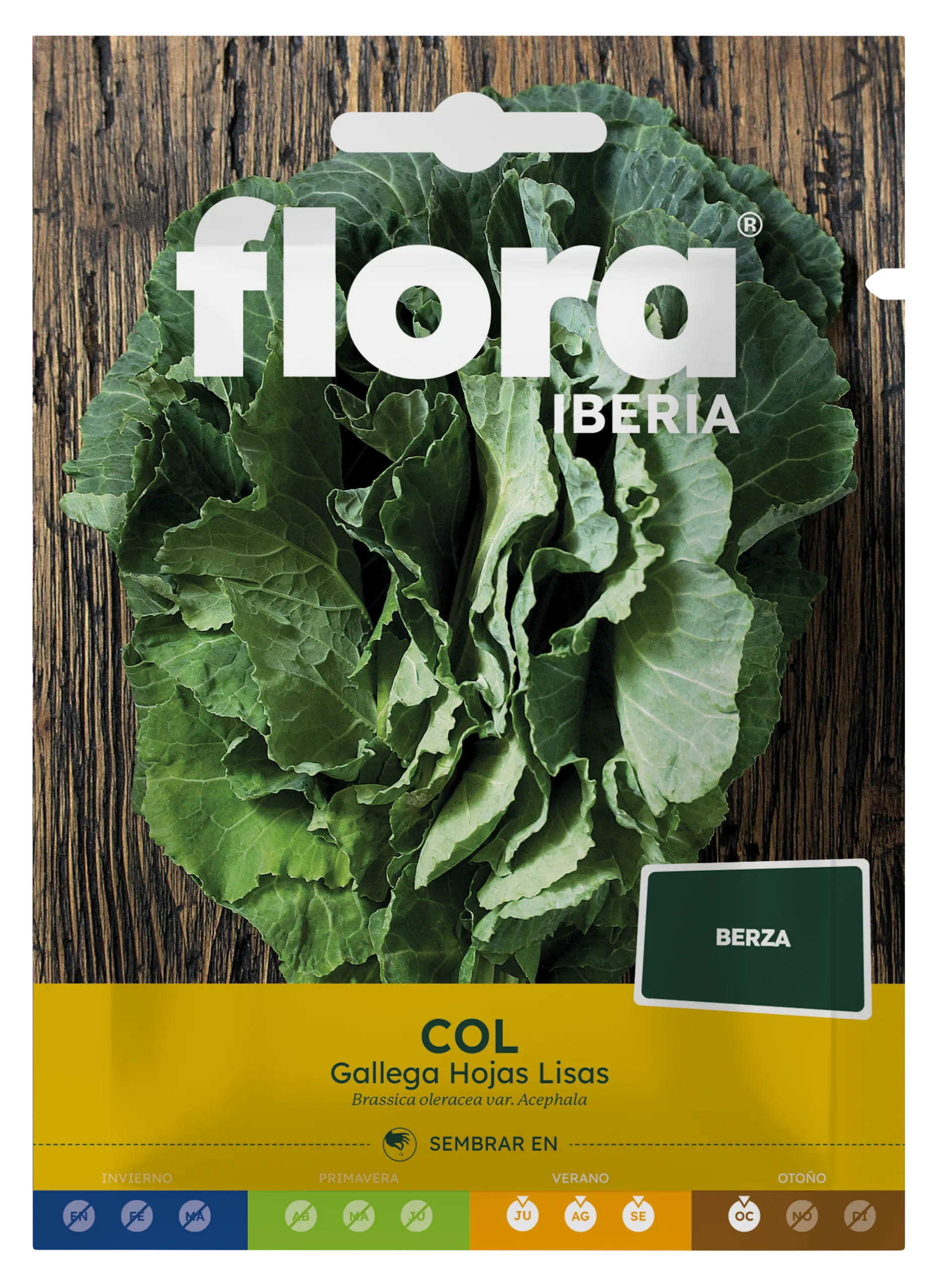 IC01441BOLS - Col Gallega Hojas Lisas