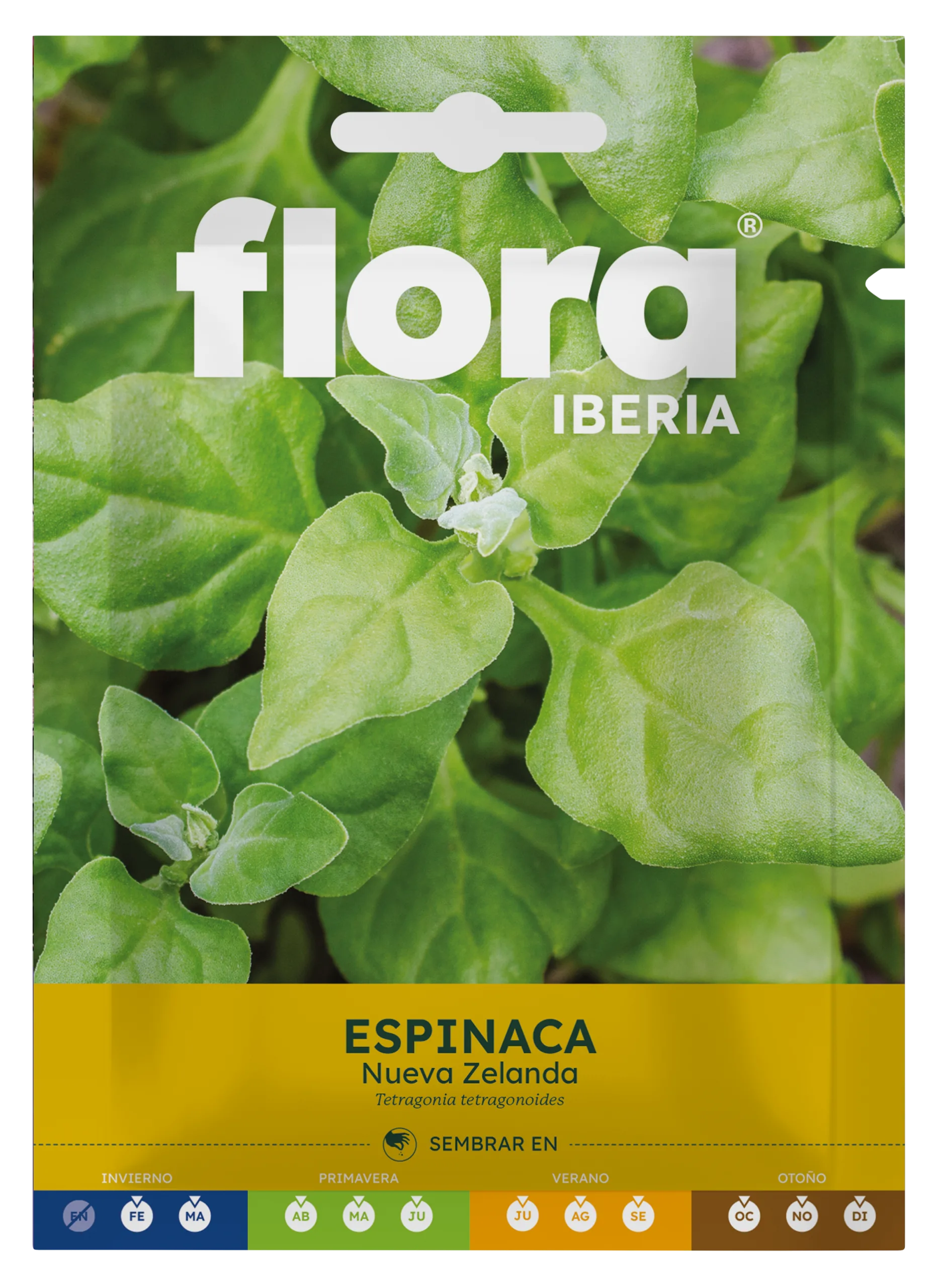 IC01582BOLS - Espinaca Nueva Zelanda