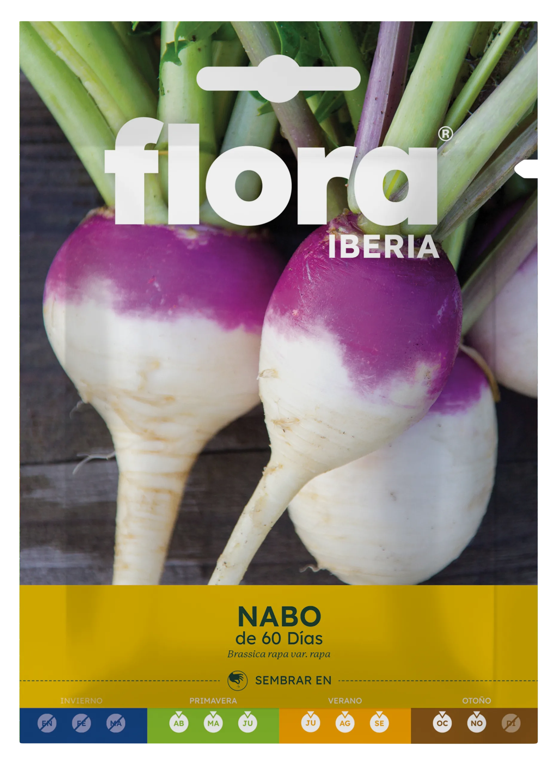 IC01741BOLS - Nabo de 60 Días
