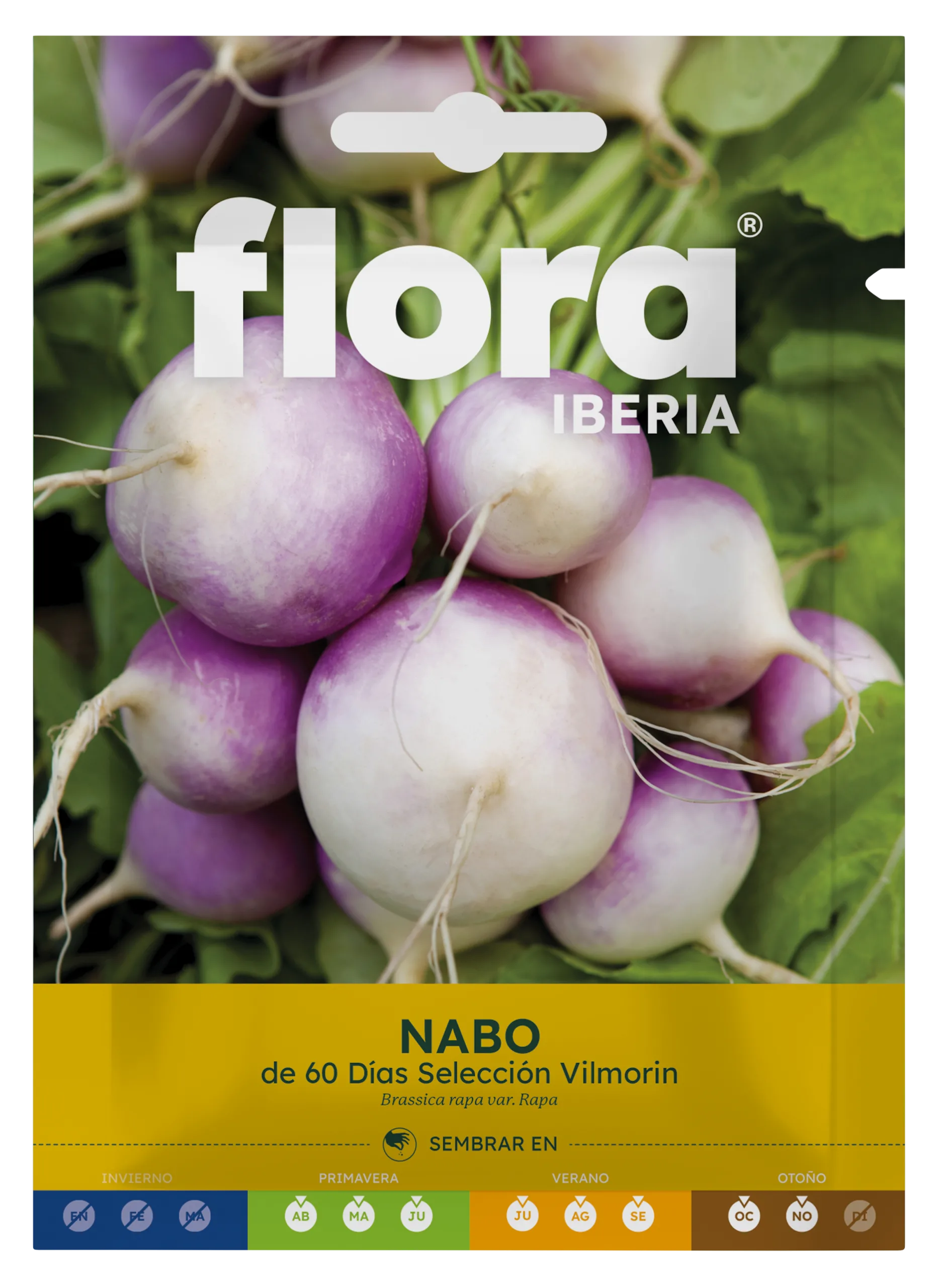 IC01751BOLS - Nabo de 60 Días Selección Vilmorin