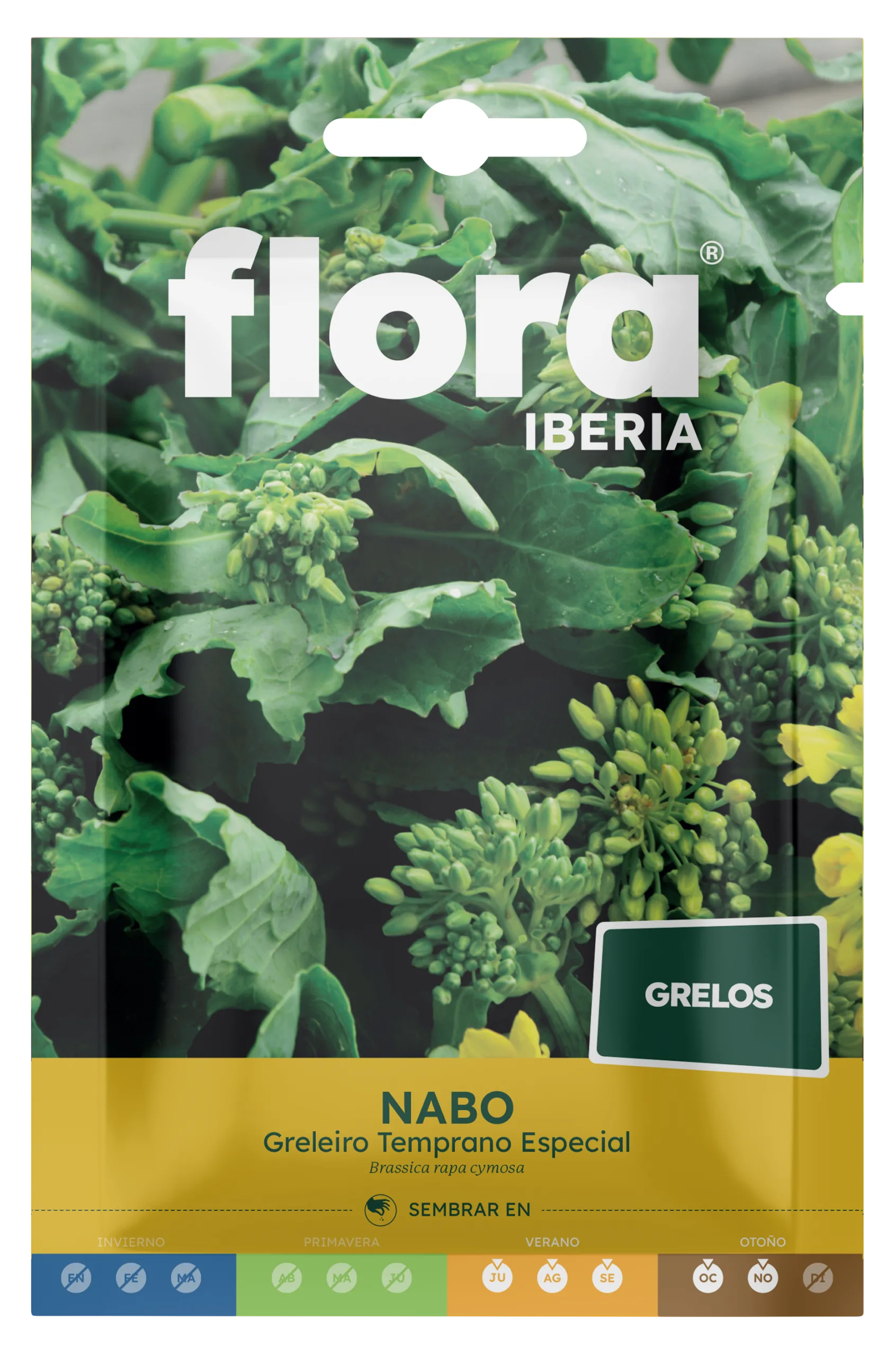 IC01764BOLS - Nabo Greleiro Temprano Especial