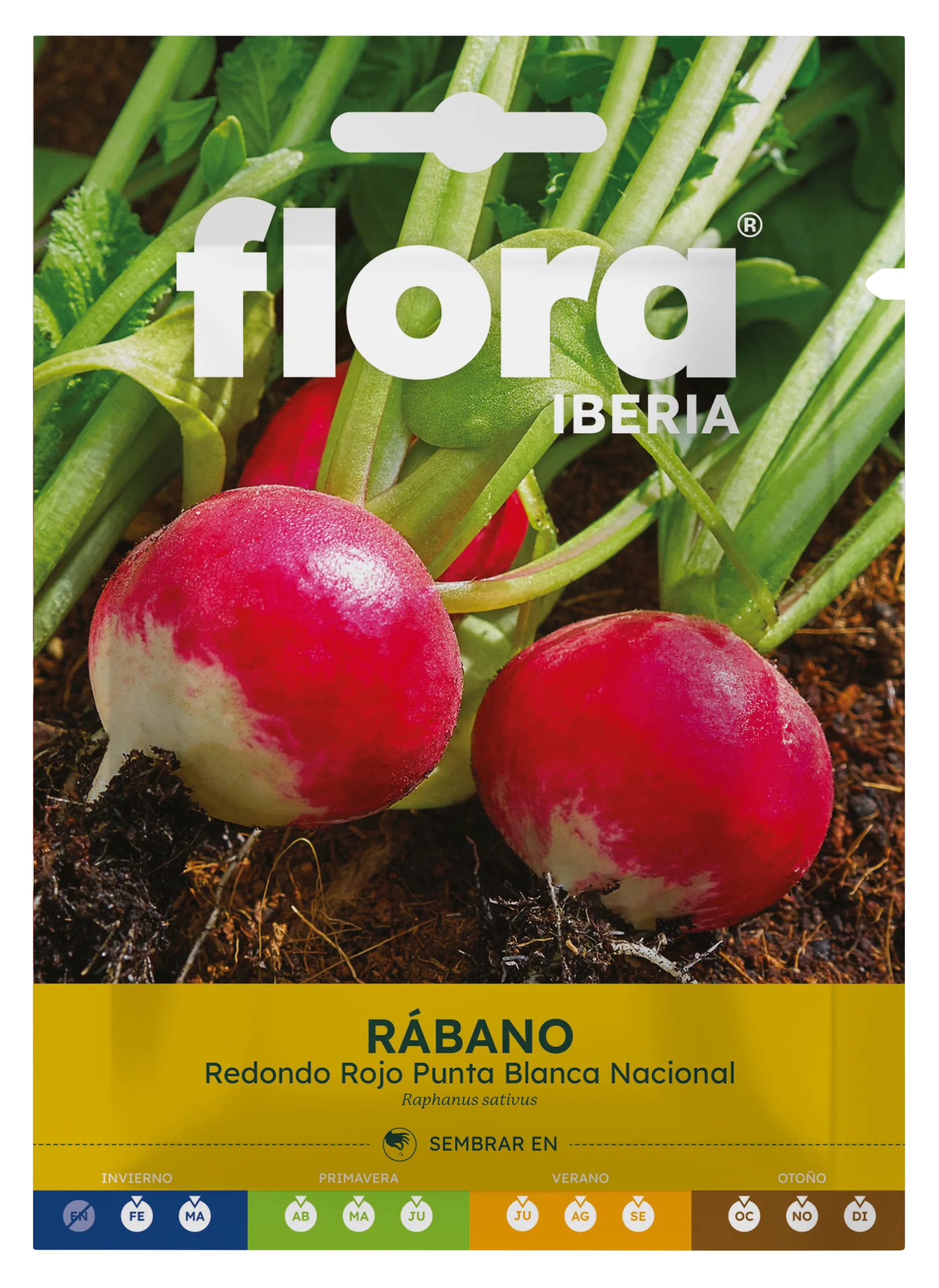IC01843BOLS - Rábano Medio Largo Rojo Punta Blanca