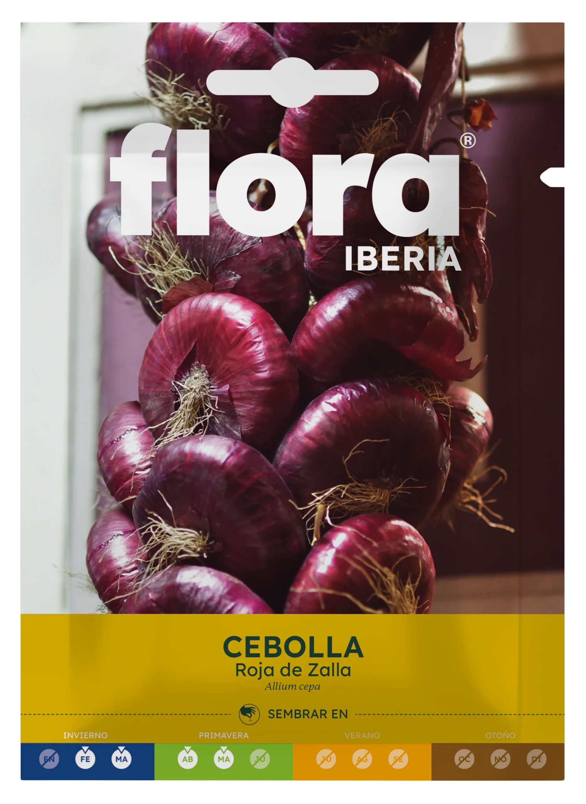 IC11965BOLS - Cebolla Roja de Zalla
