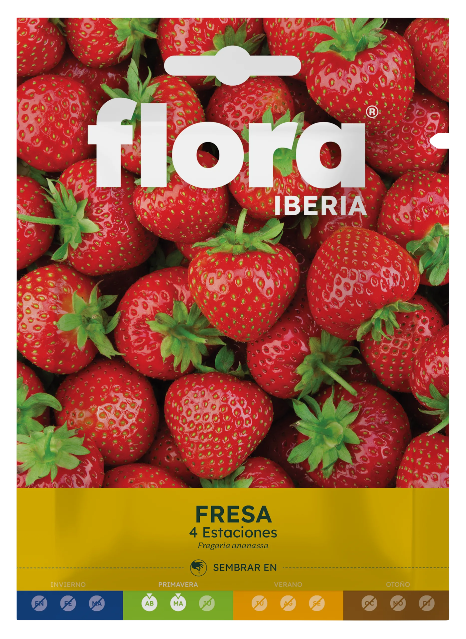 IC17150BOLS - Fresa 4 Estaciones