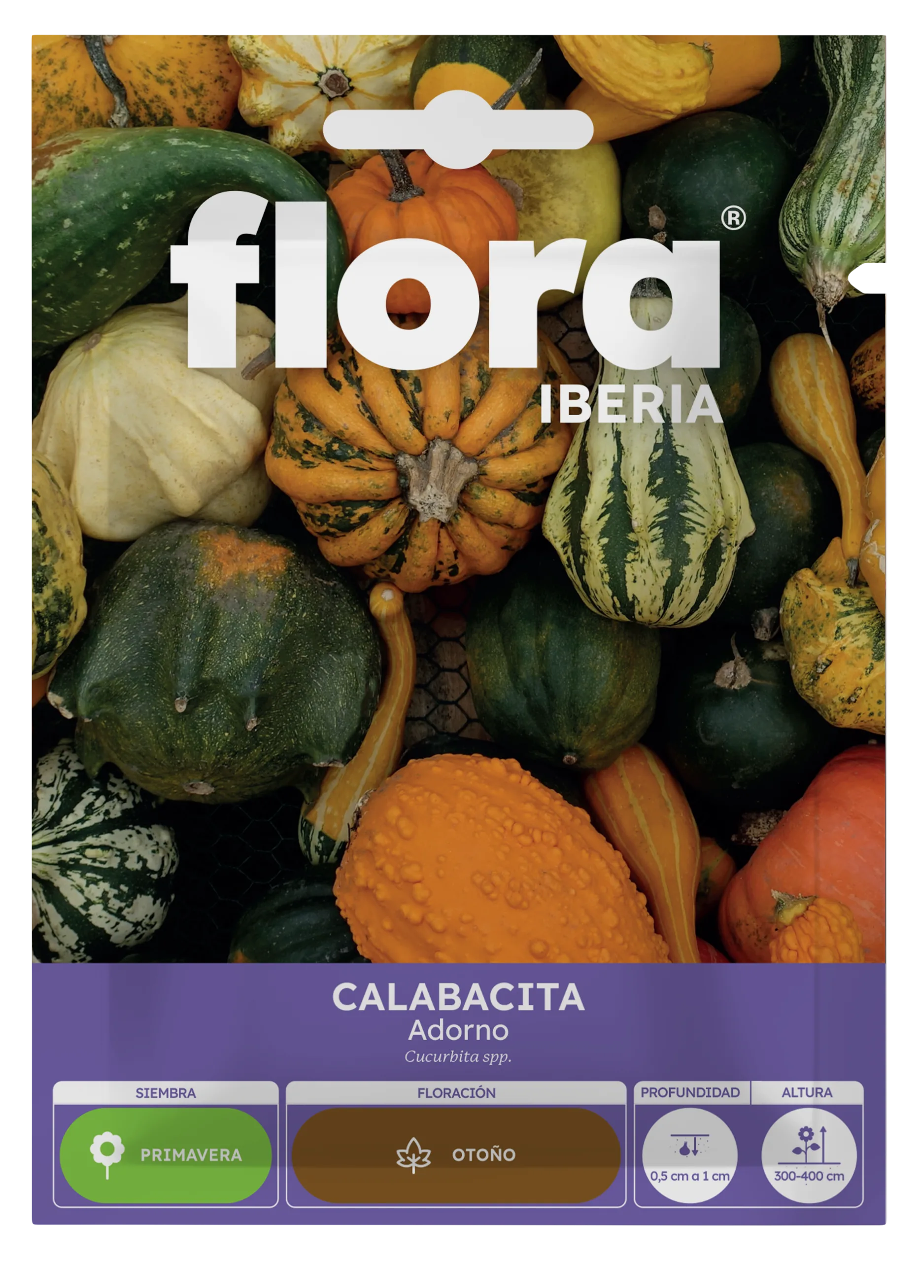 IA65005BOLS - Calabacita Adorno
