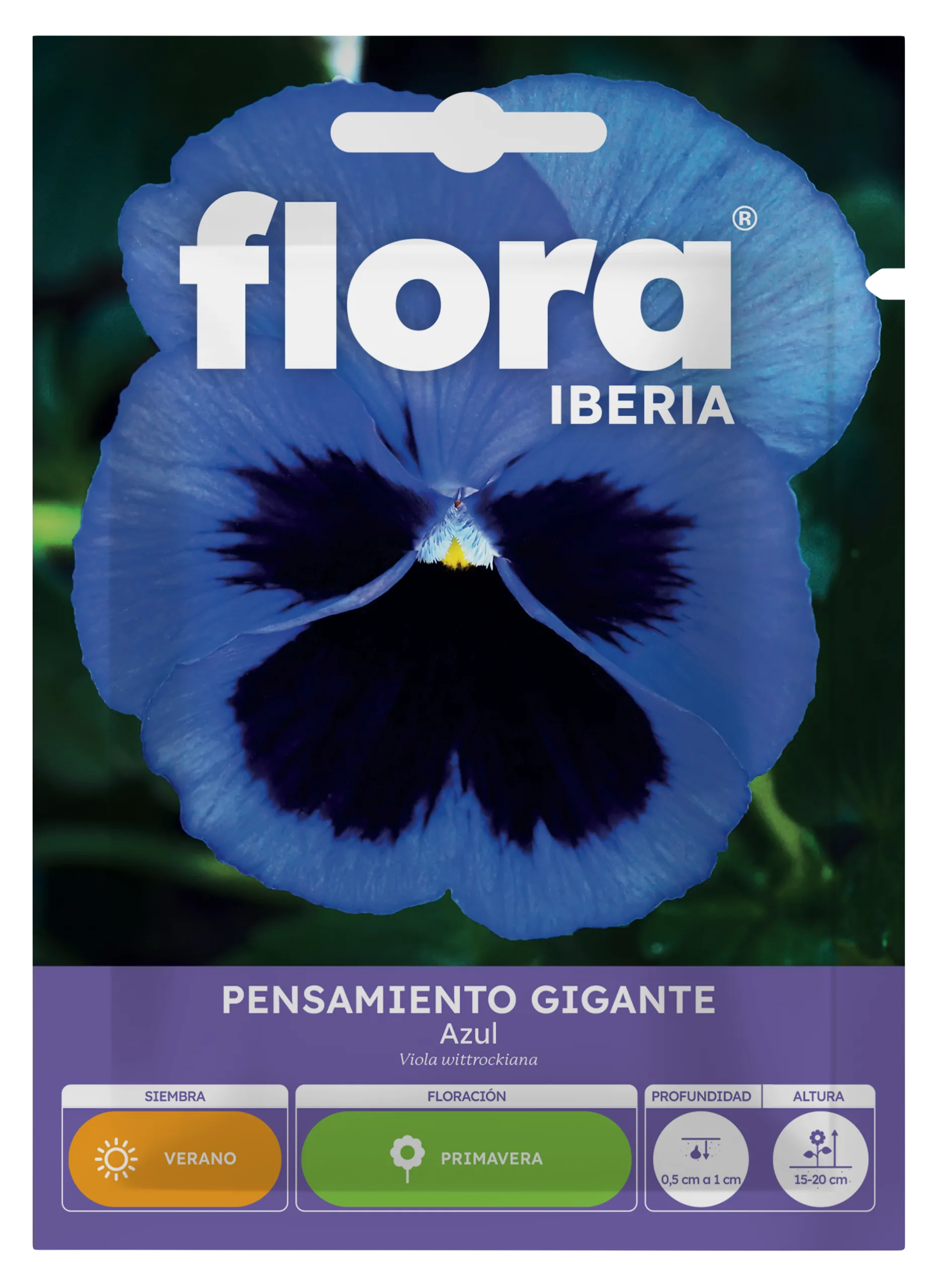IA65030BOLS - Pensamiento Gigante Azul