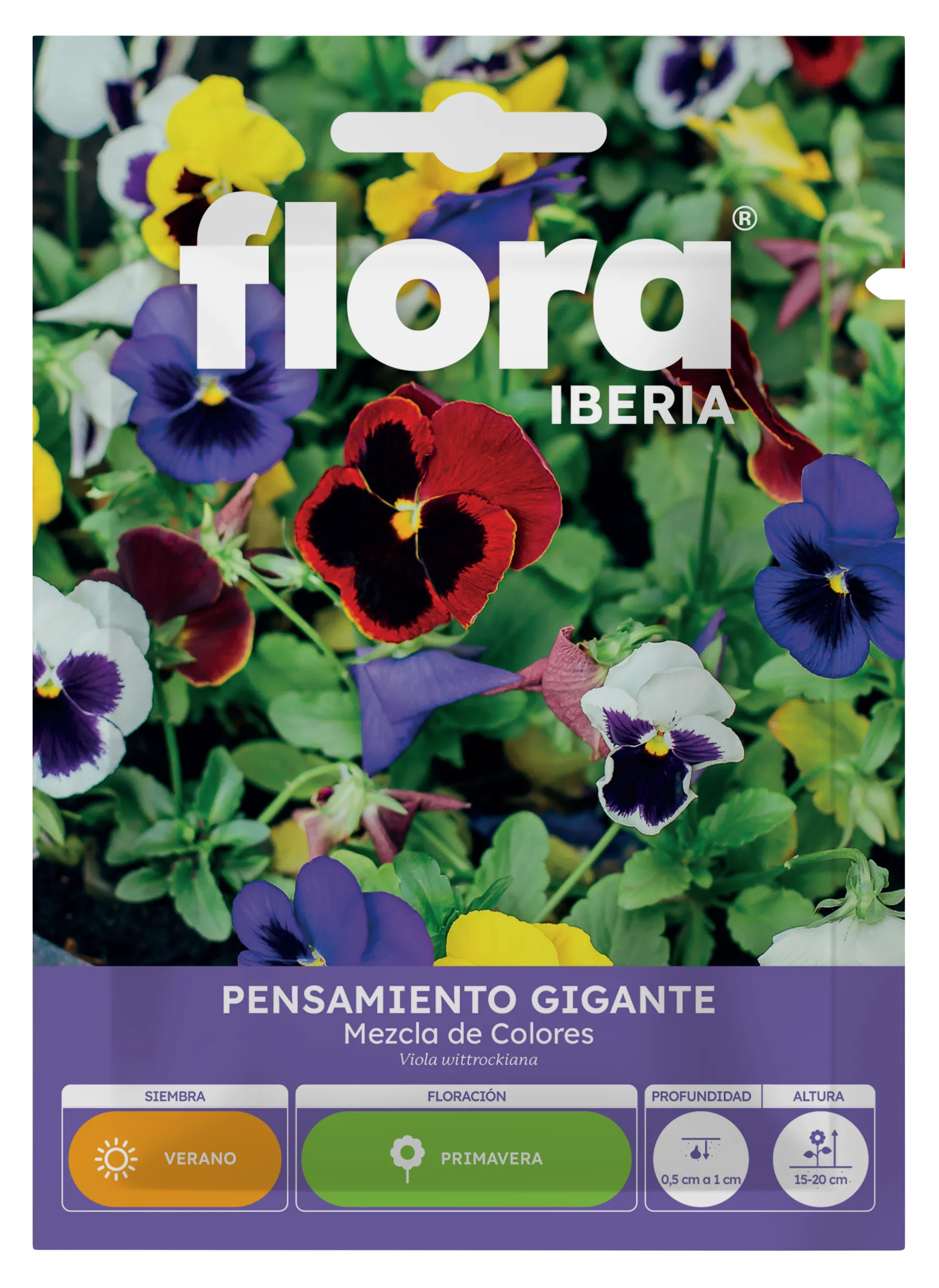 IA65040BOLS - Pensamiento Gigante Variado