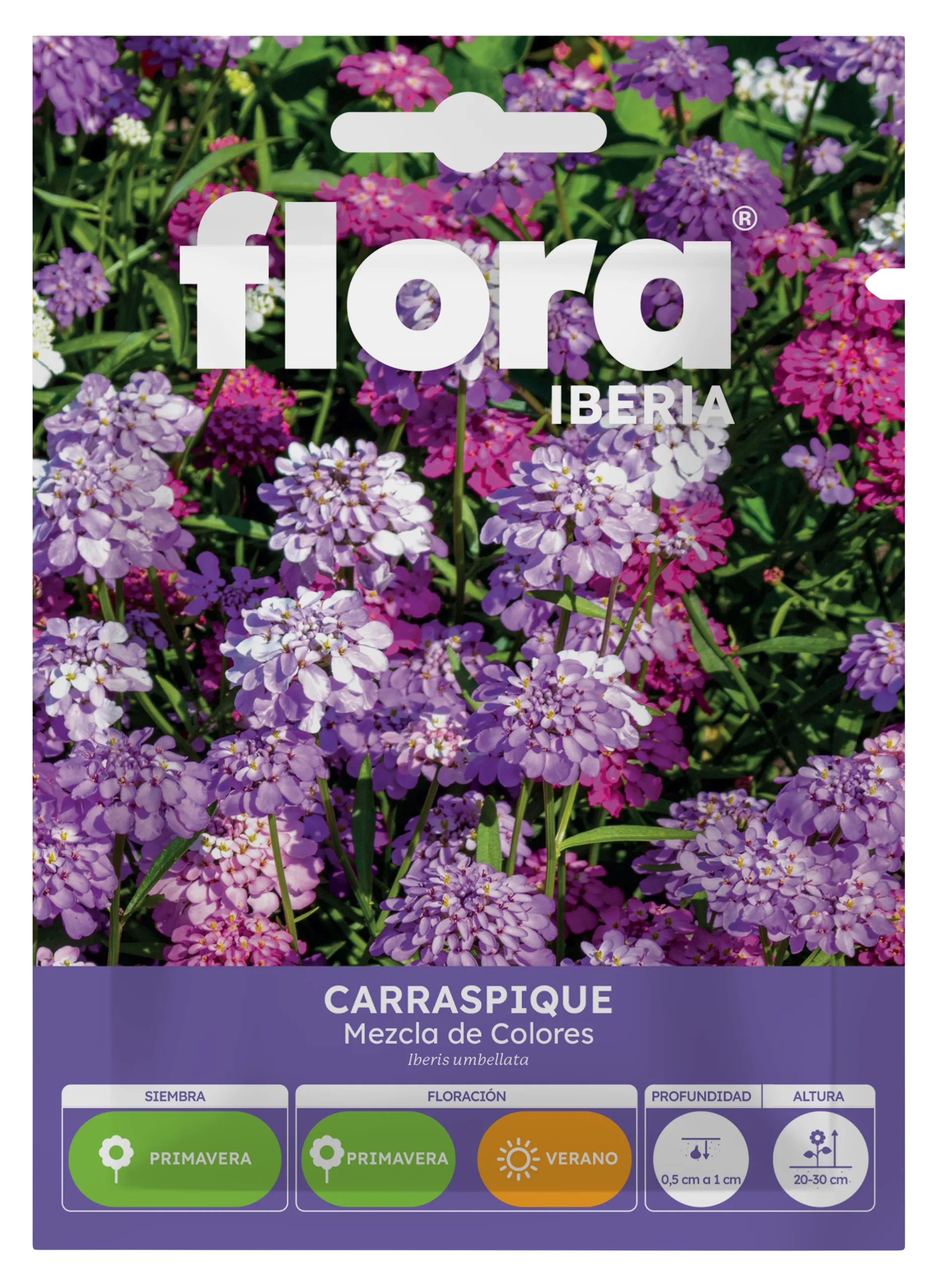 IA65055BOLS - Carraspique Variado