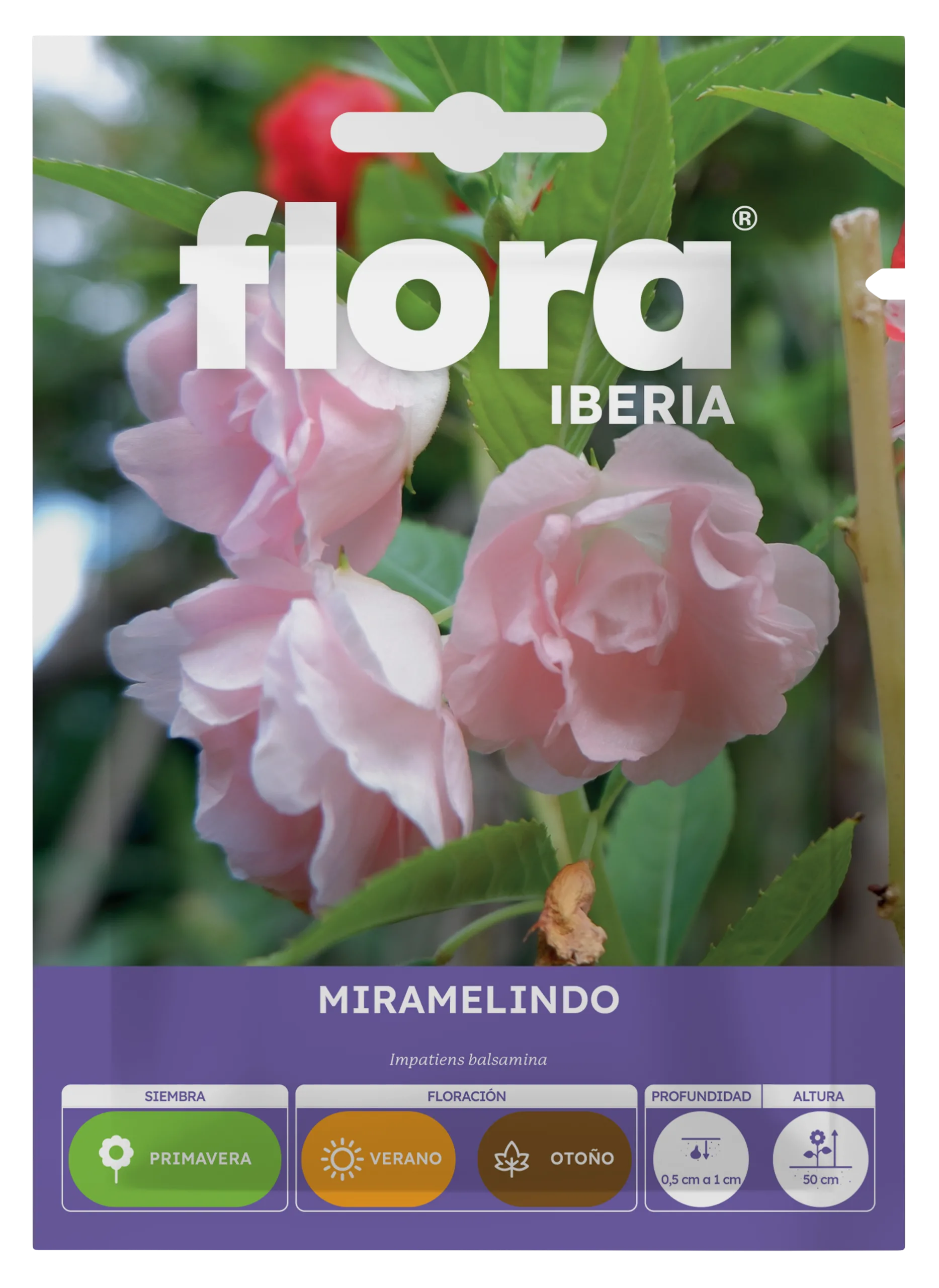 IA65060BOLS - Miramelindo