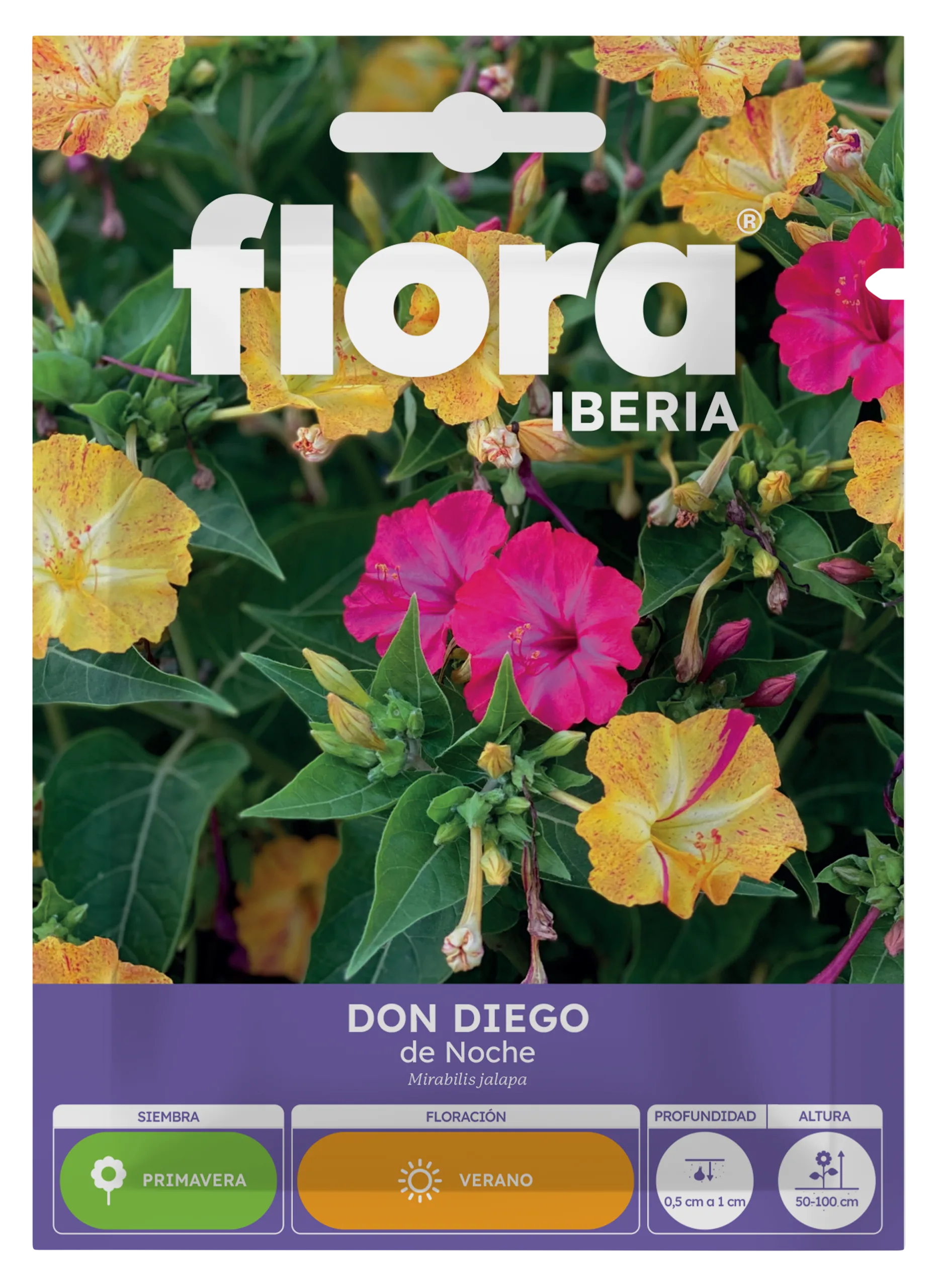 IA65065BOLS - Don Diego de Noche