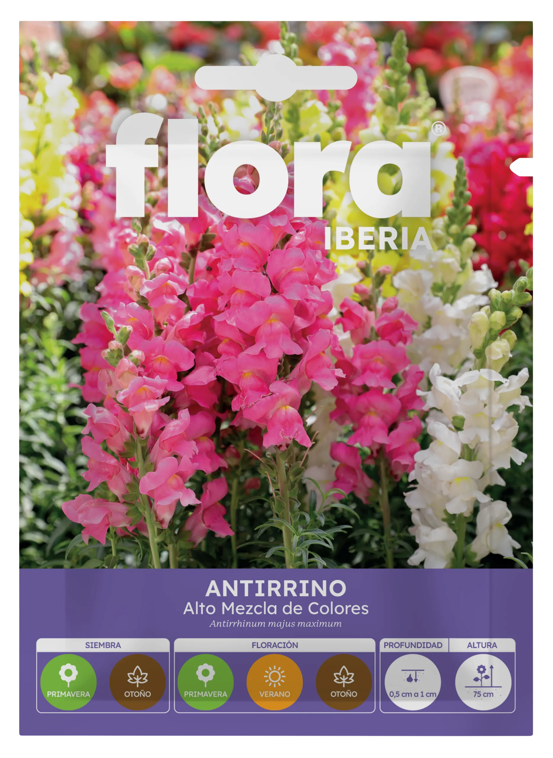 IA65070BOLS - Antirrino Alto Variado