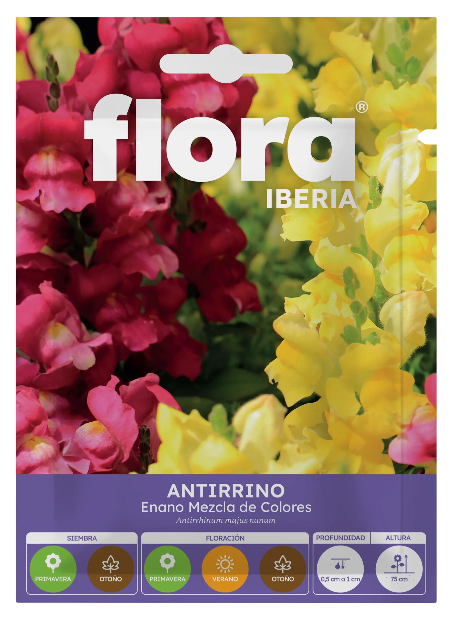 IA65075BOLS - Antirrino Enano Variado