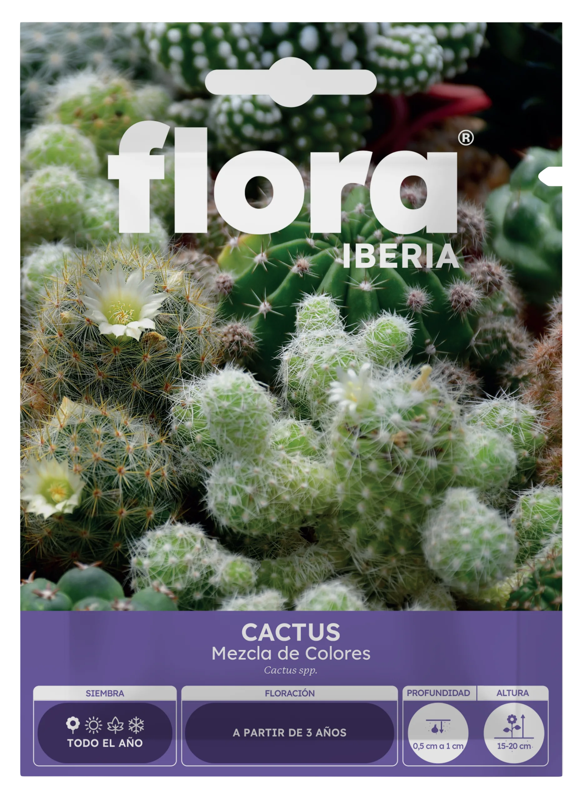 IA65085BOLS - Cactus Variado
