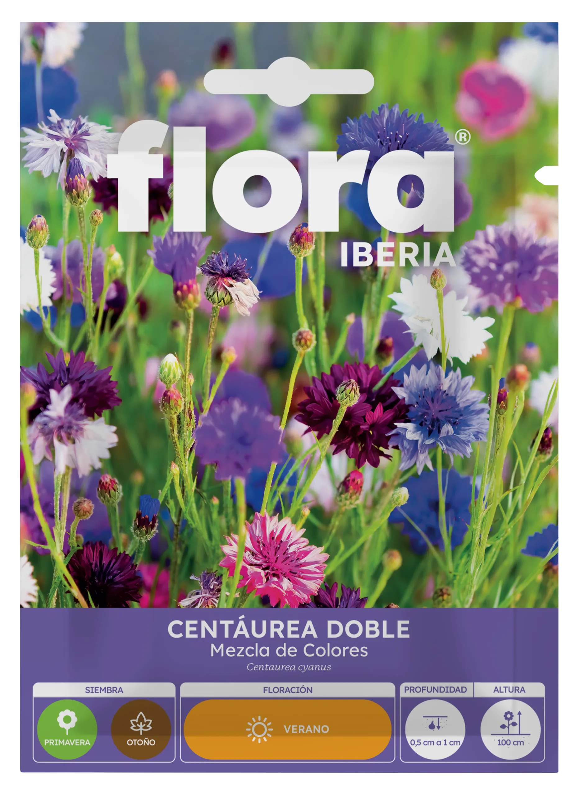 IA65110BOLS - Centaurea Doble Variada