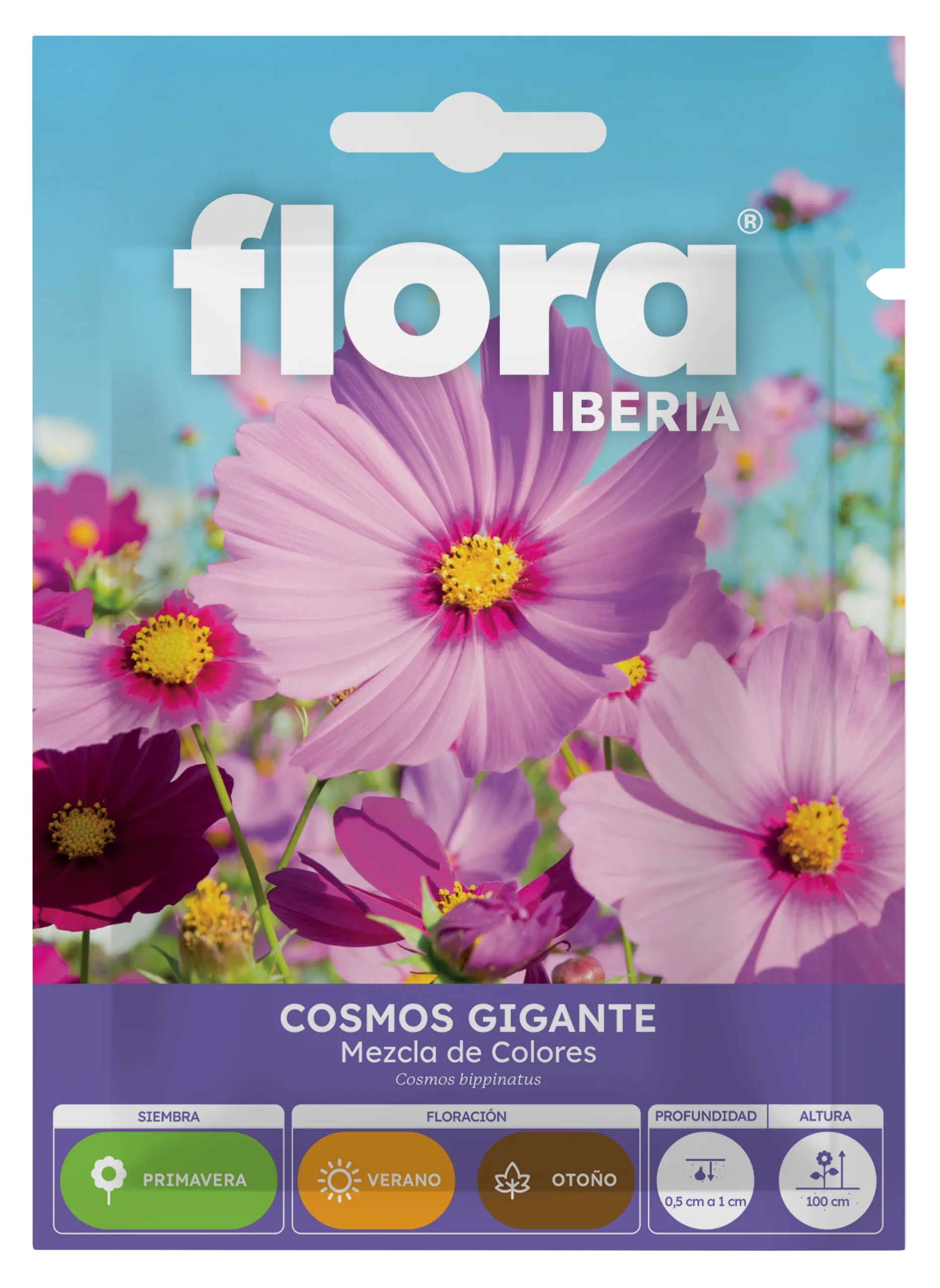 IA65145BOLS - Cosmos Gigante Variado