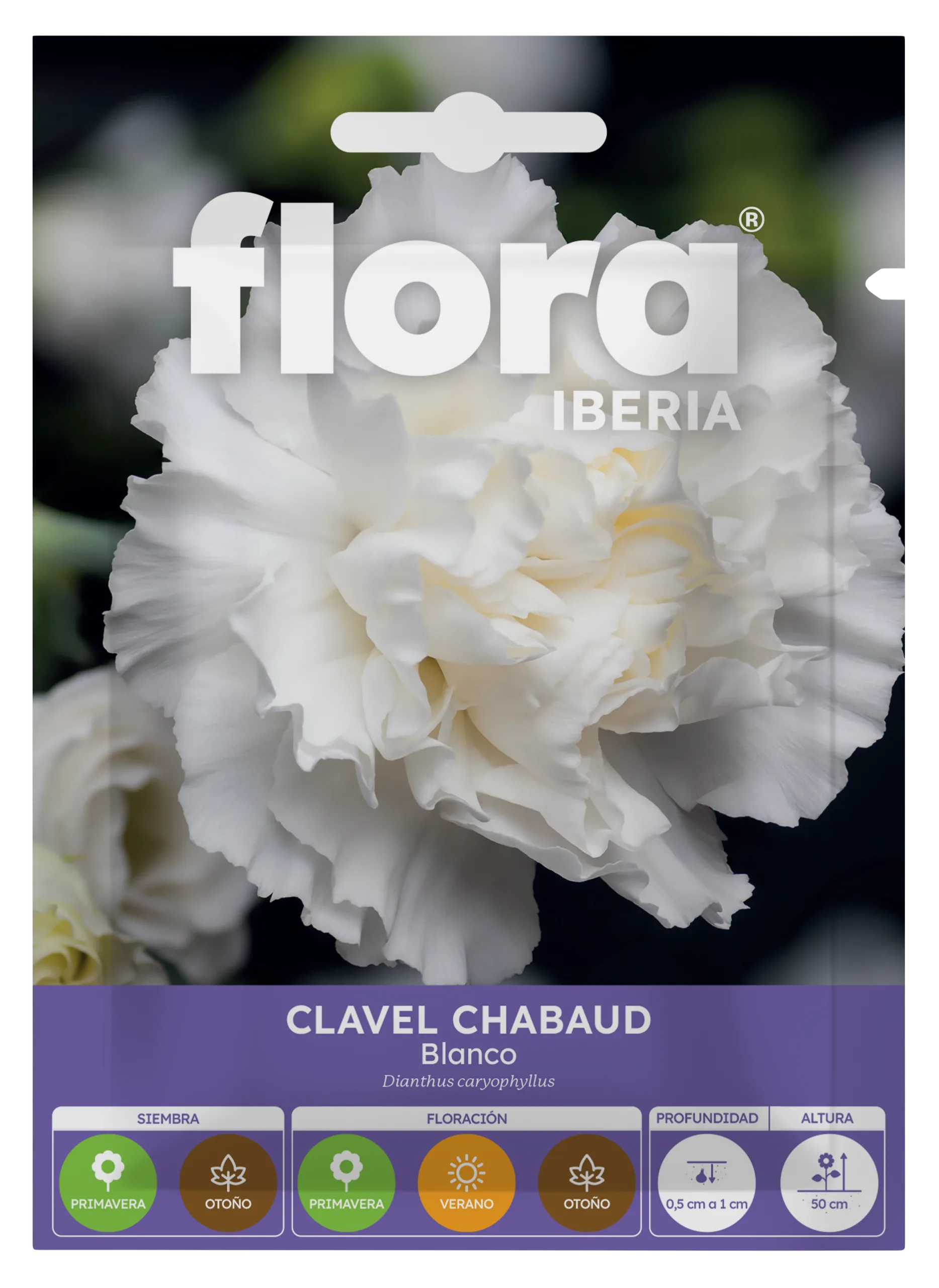 IA65155BOLS - Clavel Chabaud Blanco