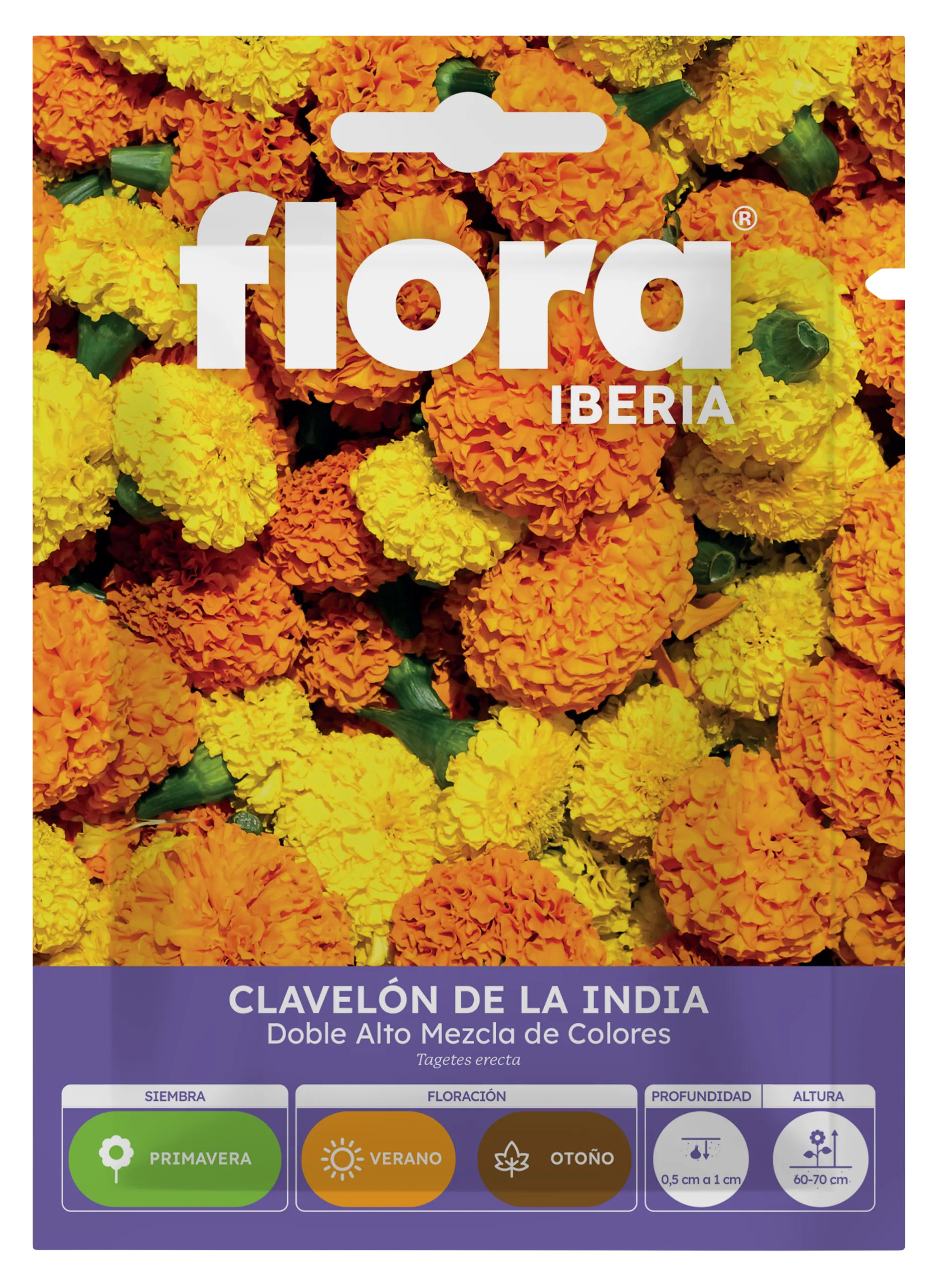 IA65180BOLS - Clavelon de la Índia Doble Alto Variado