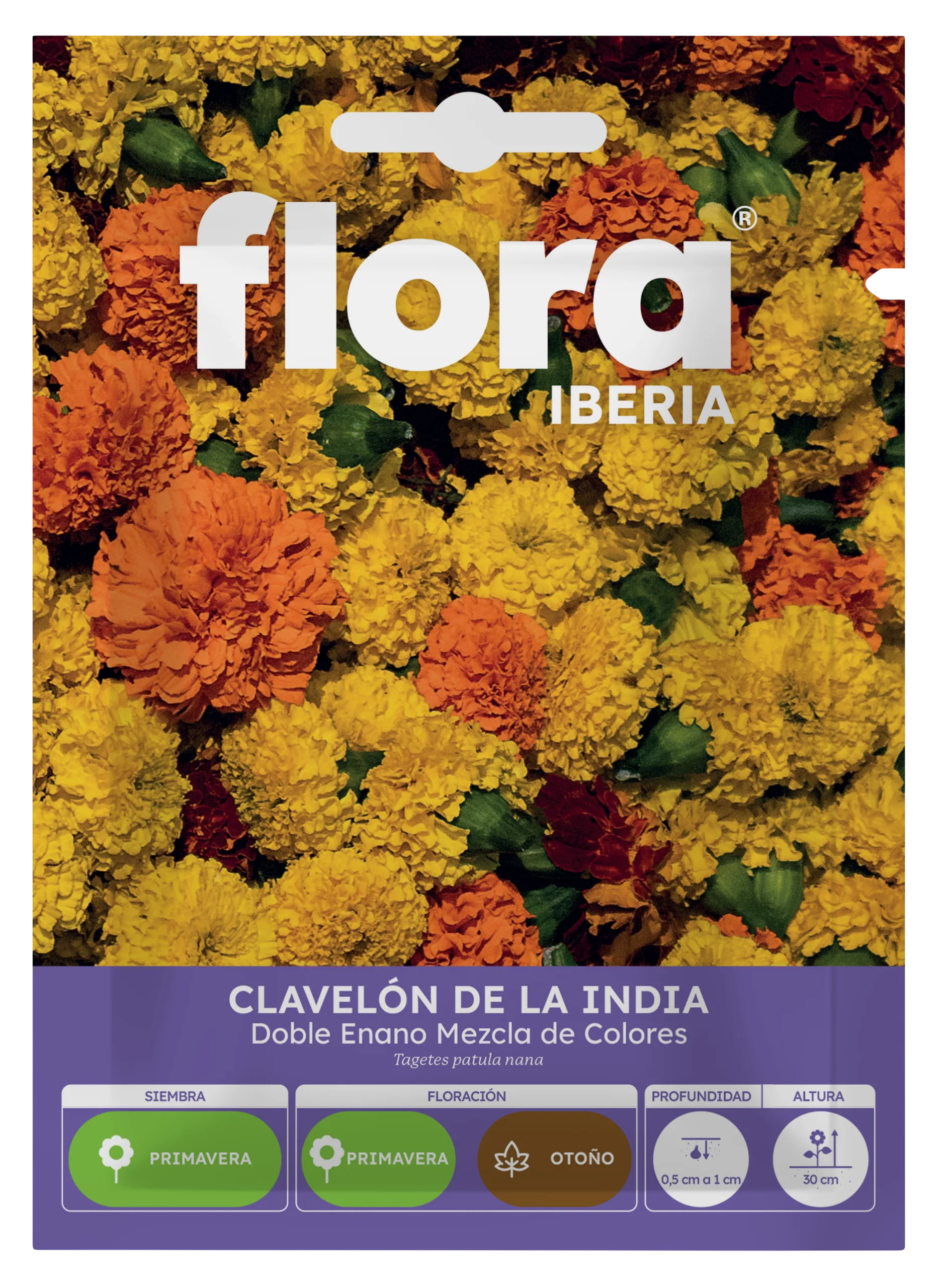 IA65185BOLS - Clavelon de la Índia Doble Enano Variado