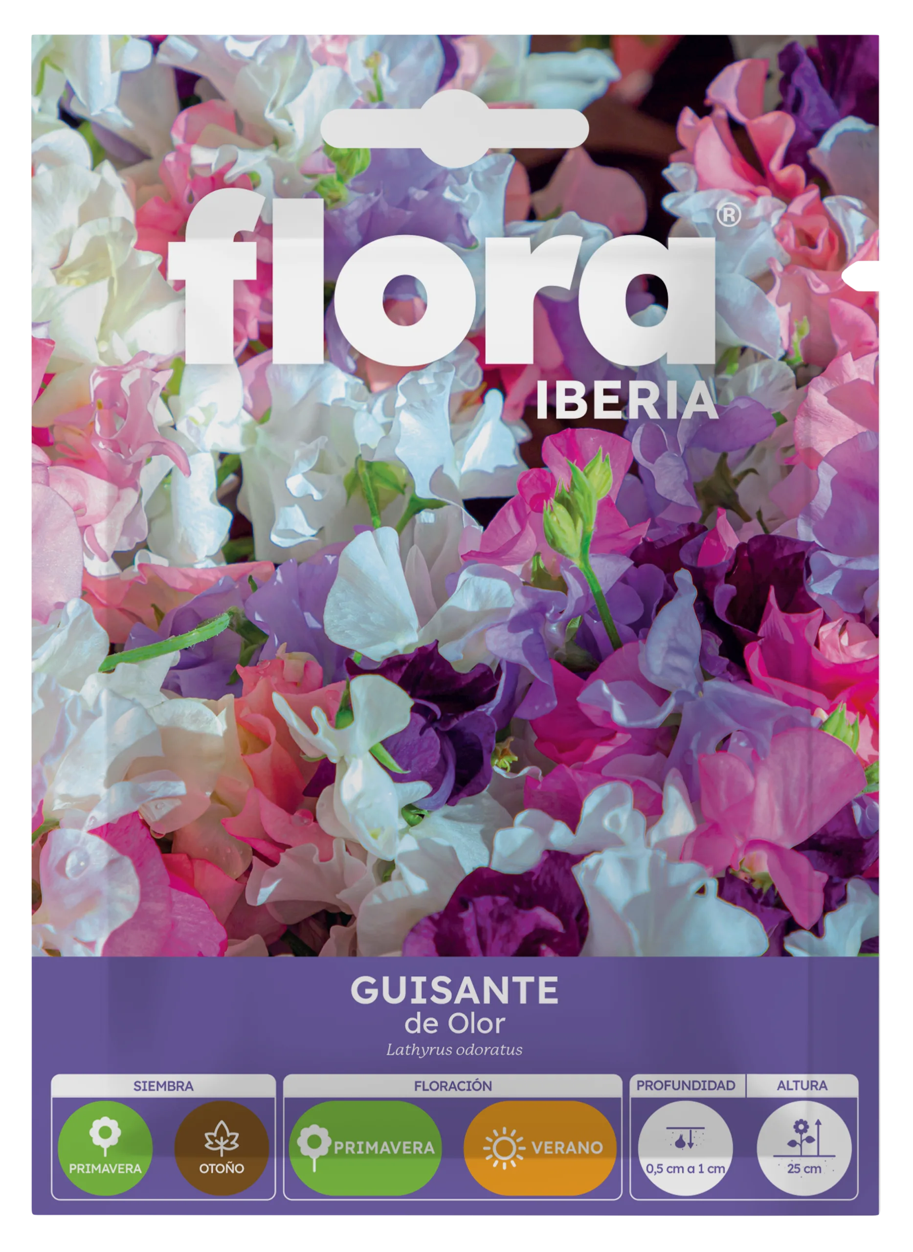 IA65240BOLS - Guisante de Olor