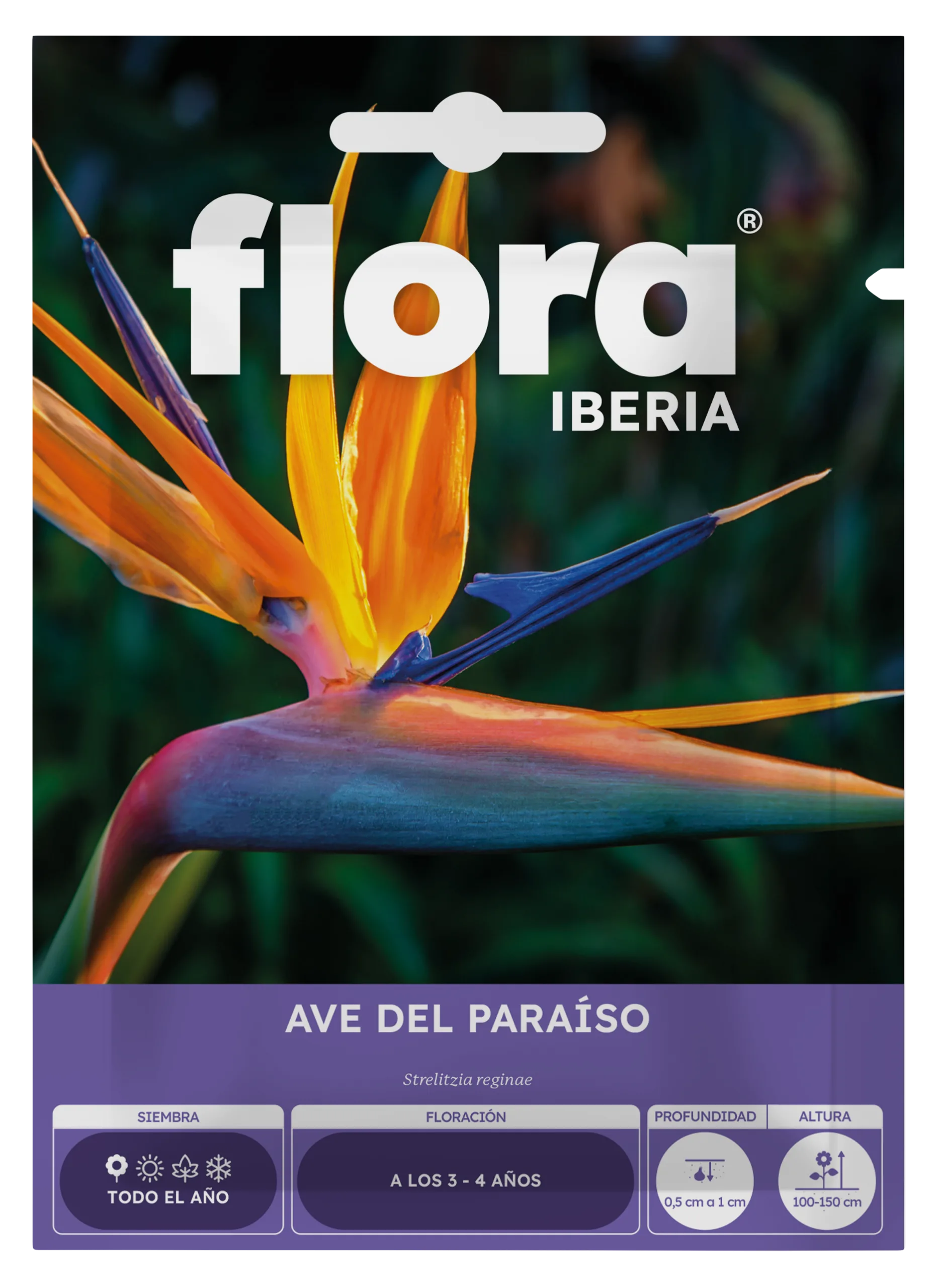 IA65252BOLS - Ave del Paraíso