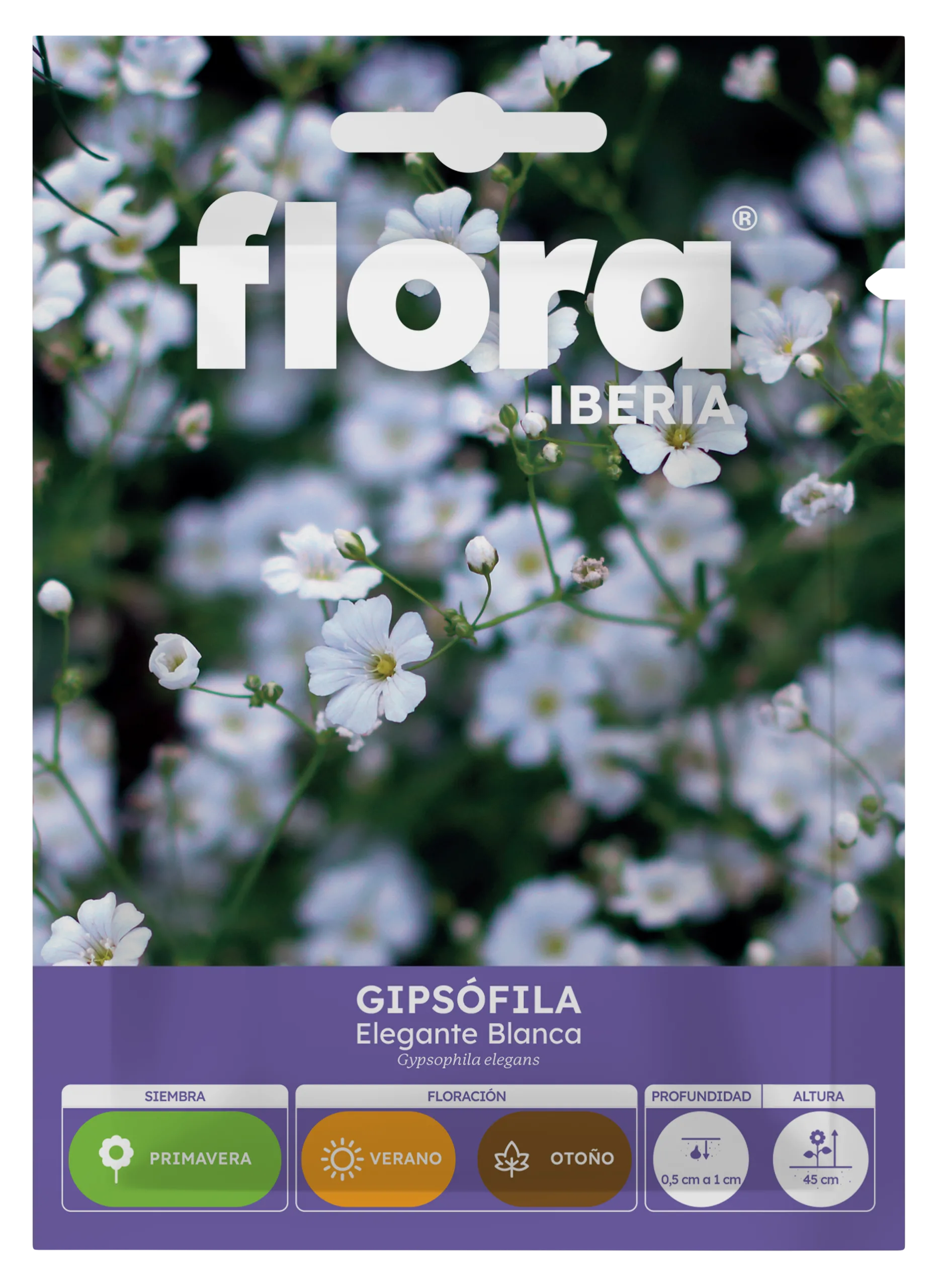 IA65275BOLS - Gipsofila Elegante Blanca