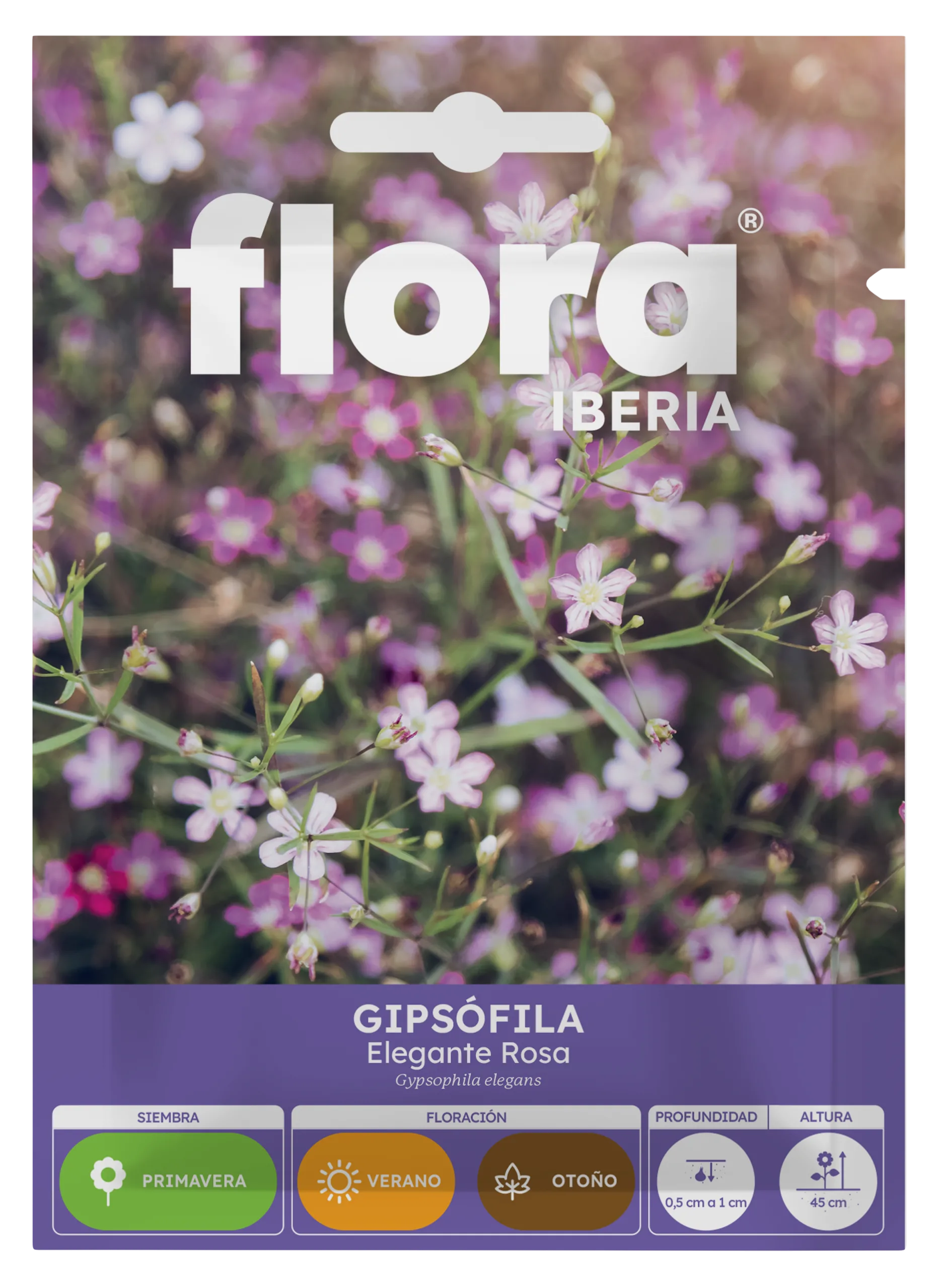 IA65280BOLS - Gipsofila Elegante Rosa