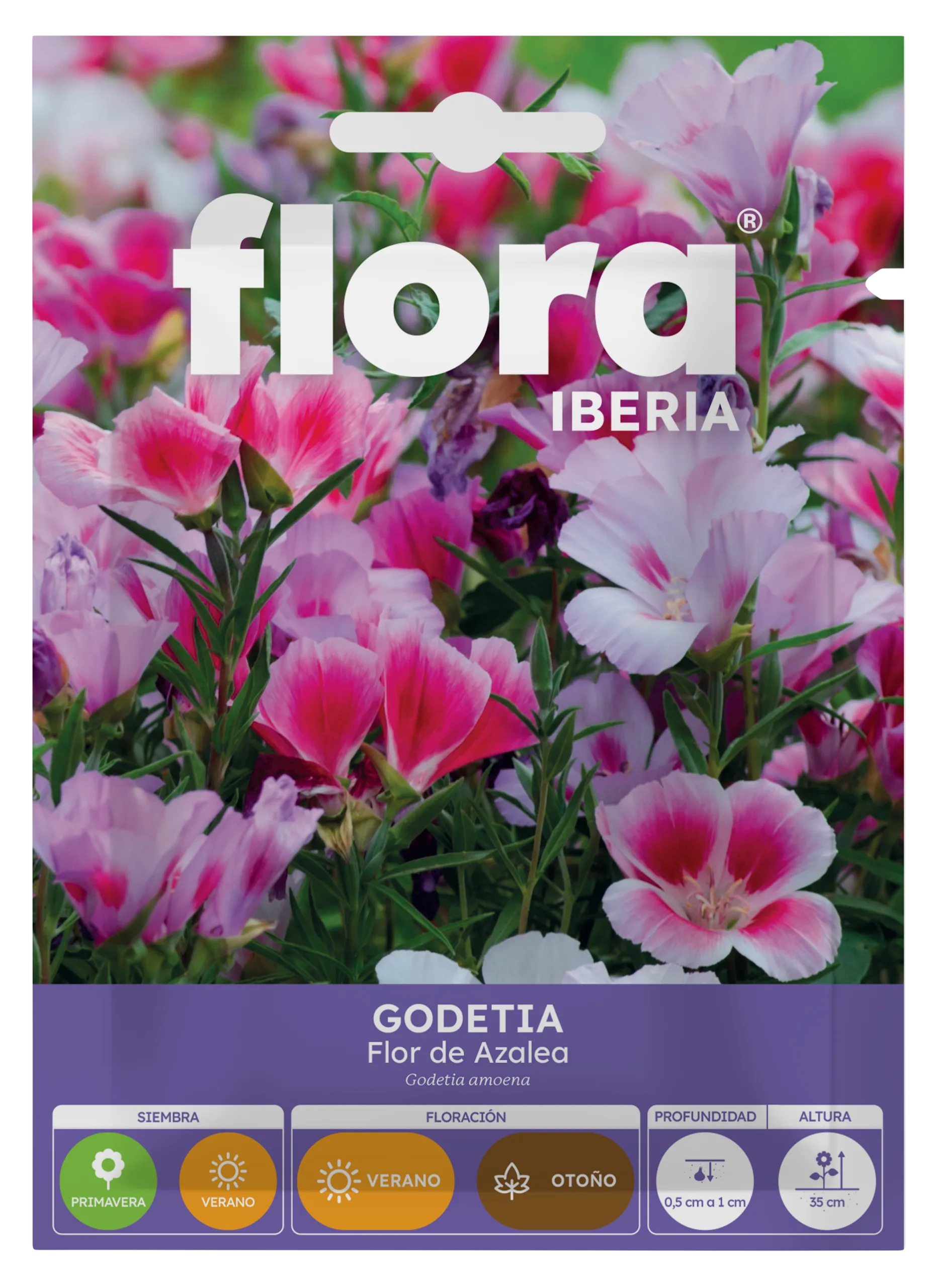 IA65295BOLS - Godetia Flor de Azalea
