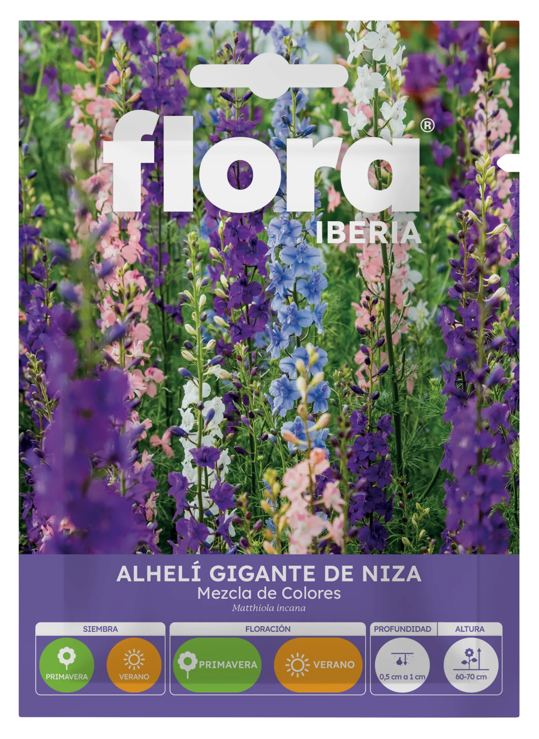 IA65305BOLS -  Alheli Gigante de Niza Variado