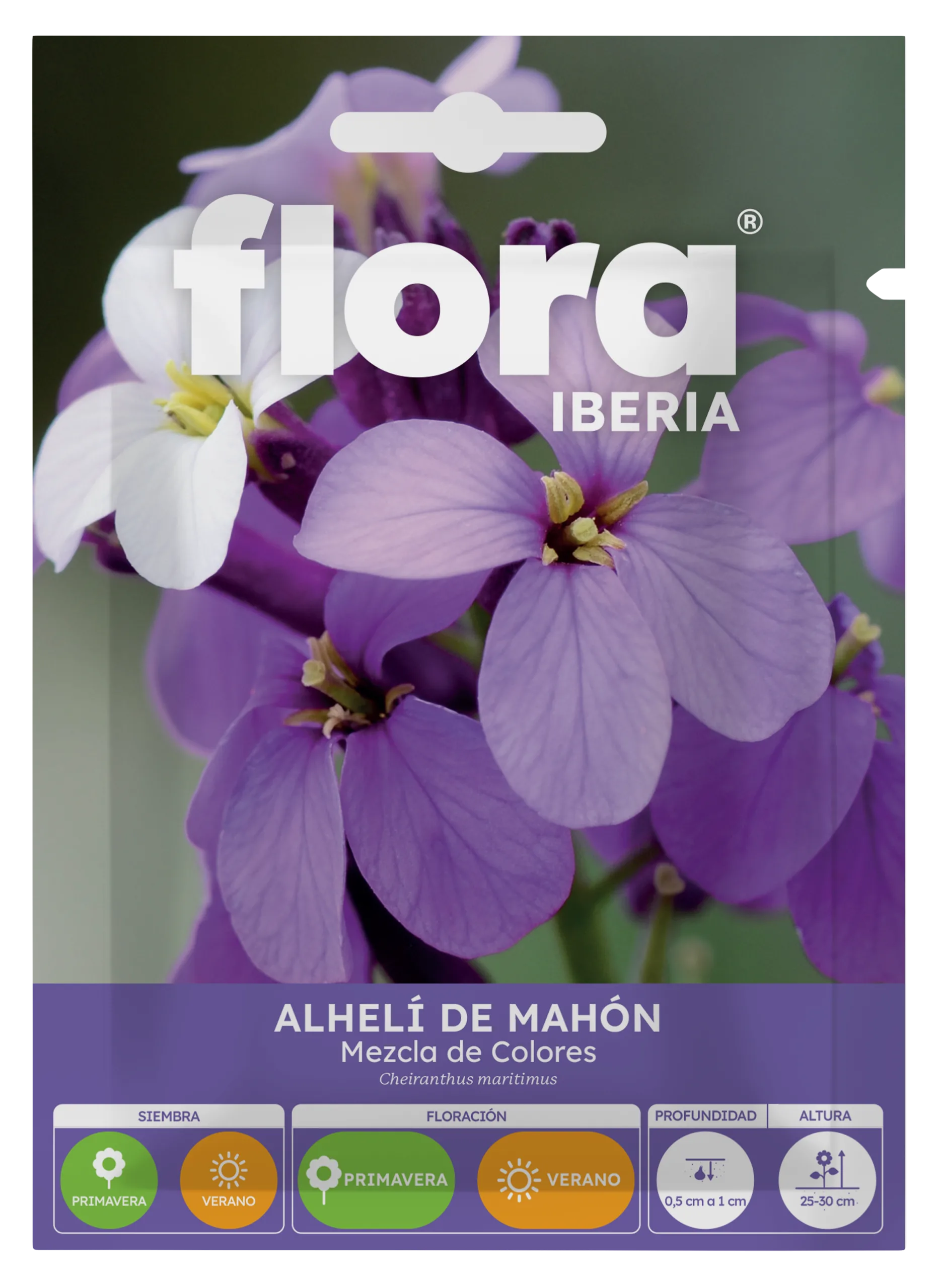 IA65315BOLS - Alheli de Mahon Variado