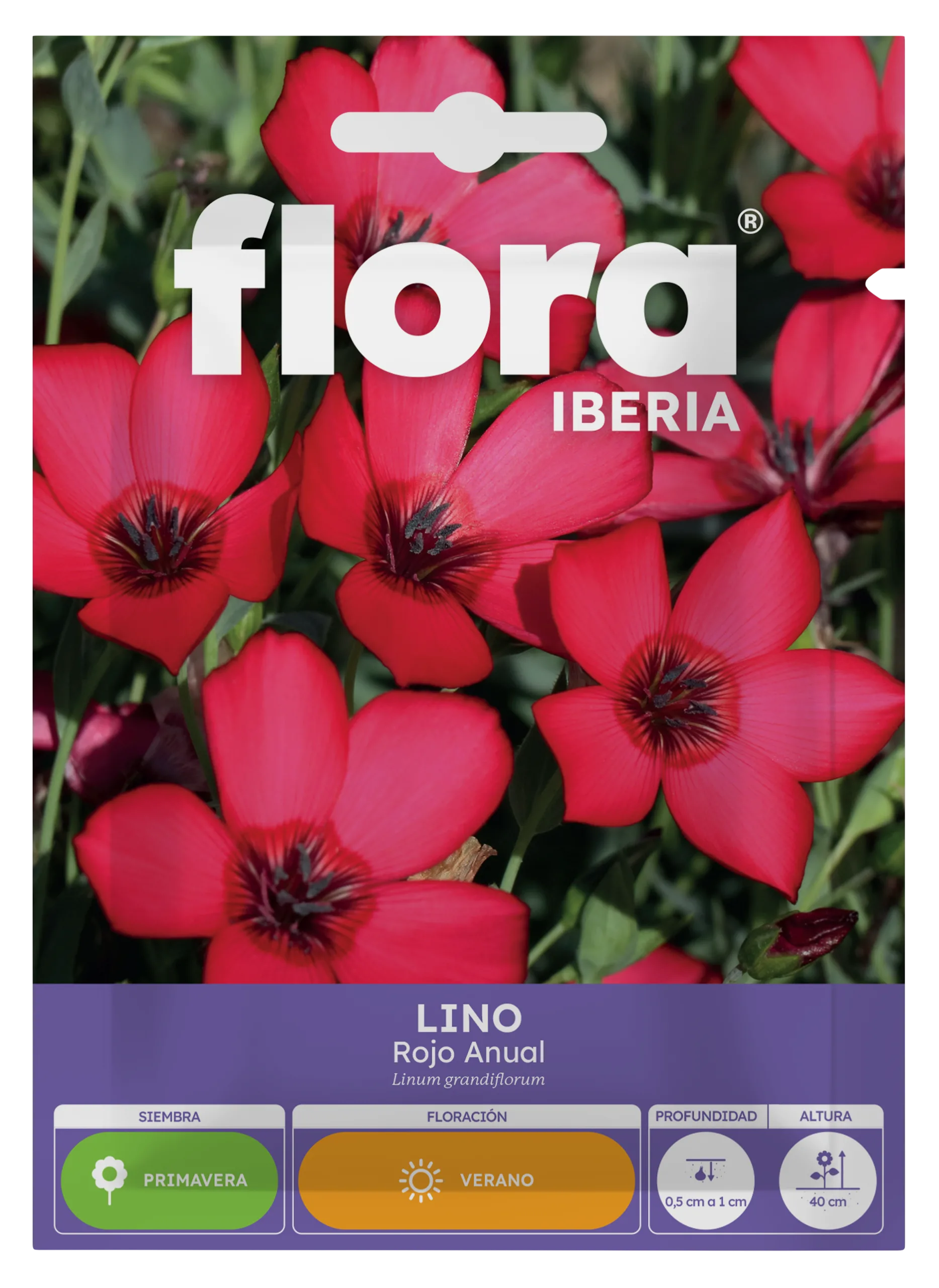 IA65320BOLS - Lino Rojo Anual