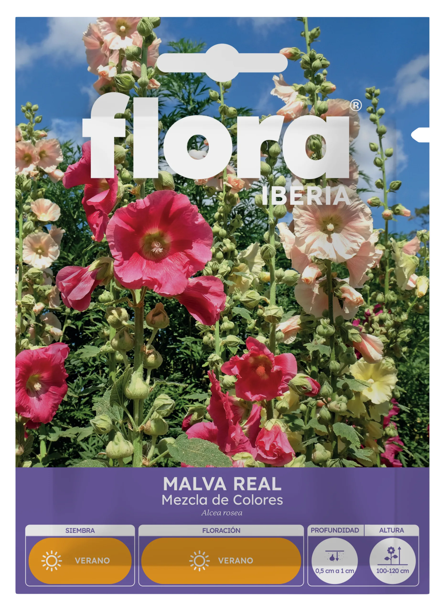 IA65325BOLS - Malva Real Variada