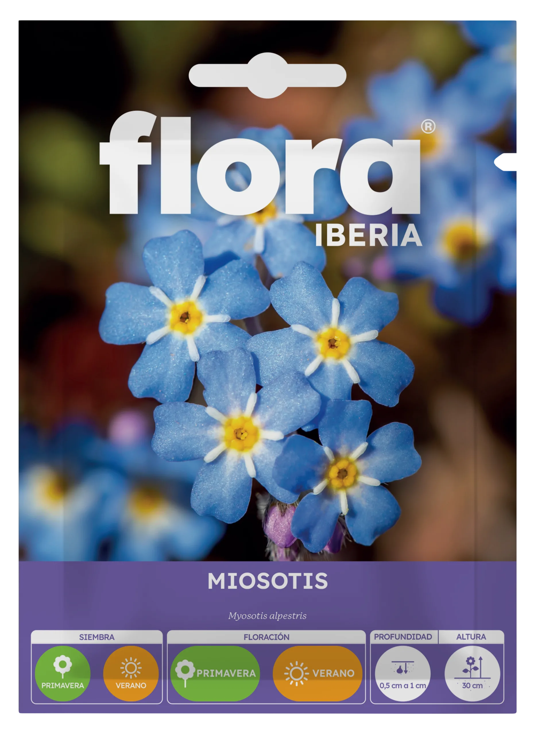 IA65335BOLS - Miosotis