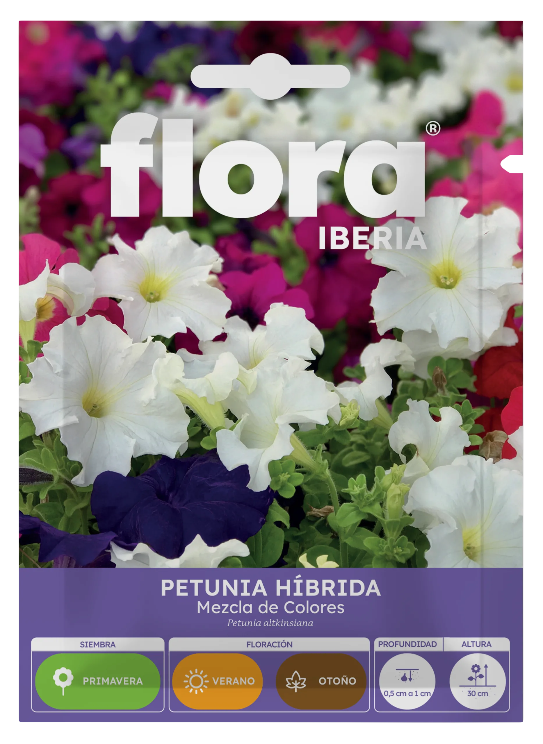 IA65350BOLS - Petunia Híbrida Variada