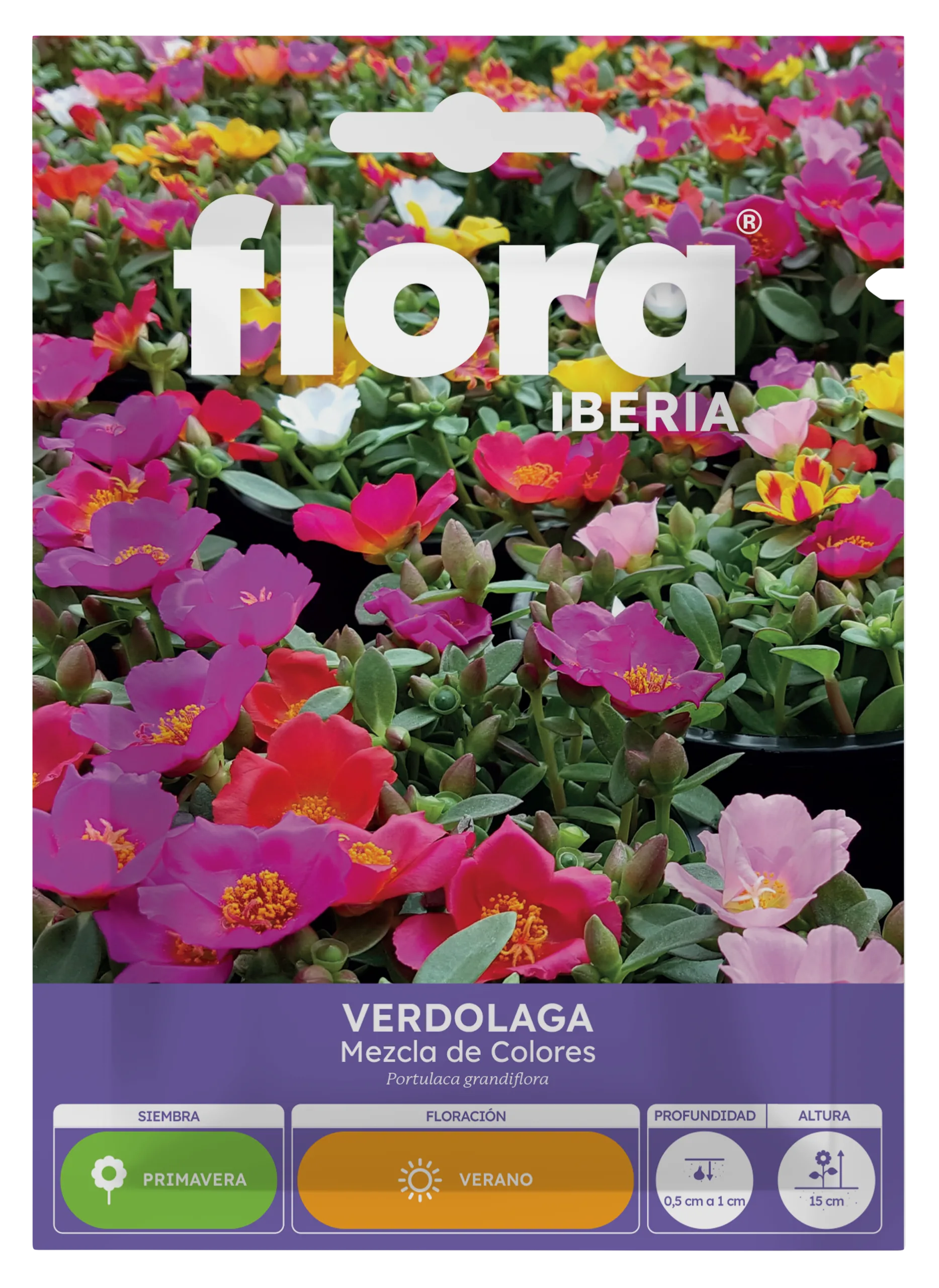 IA65360BOLS - Verdolaga Variada