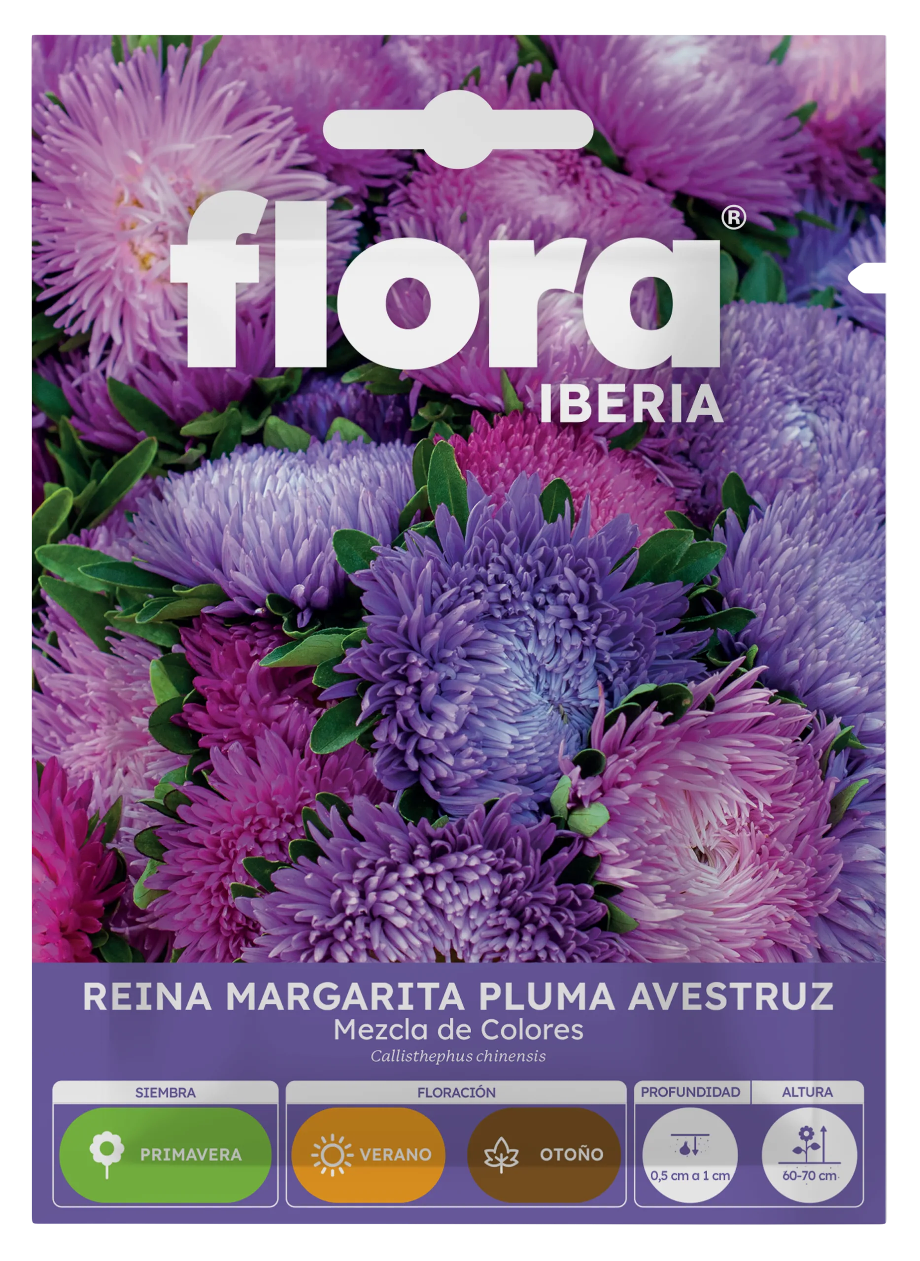 IA65370BOLS - Reina Margarita Pluma Avestruz Variada
